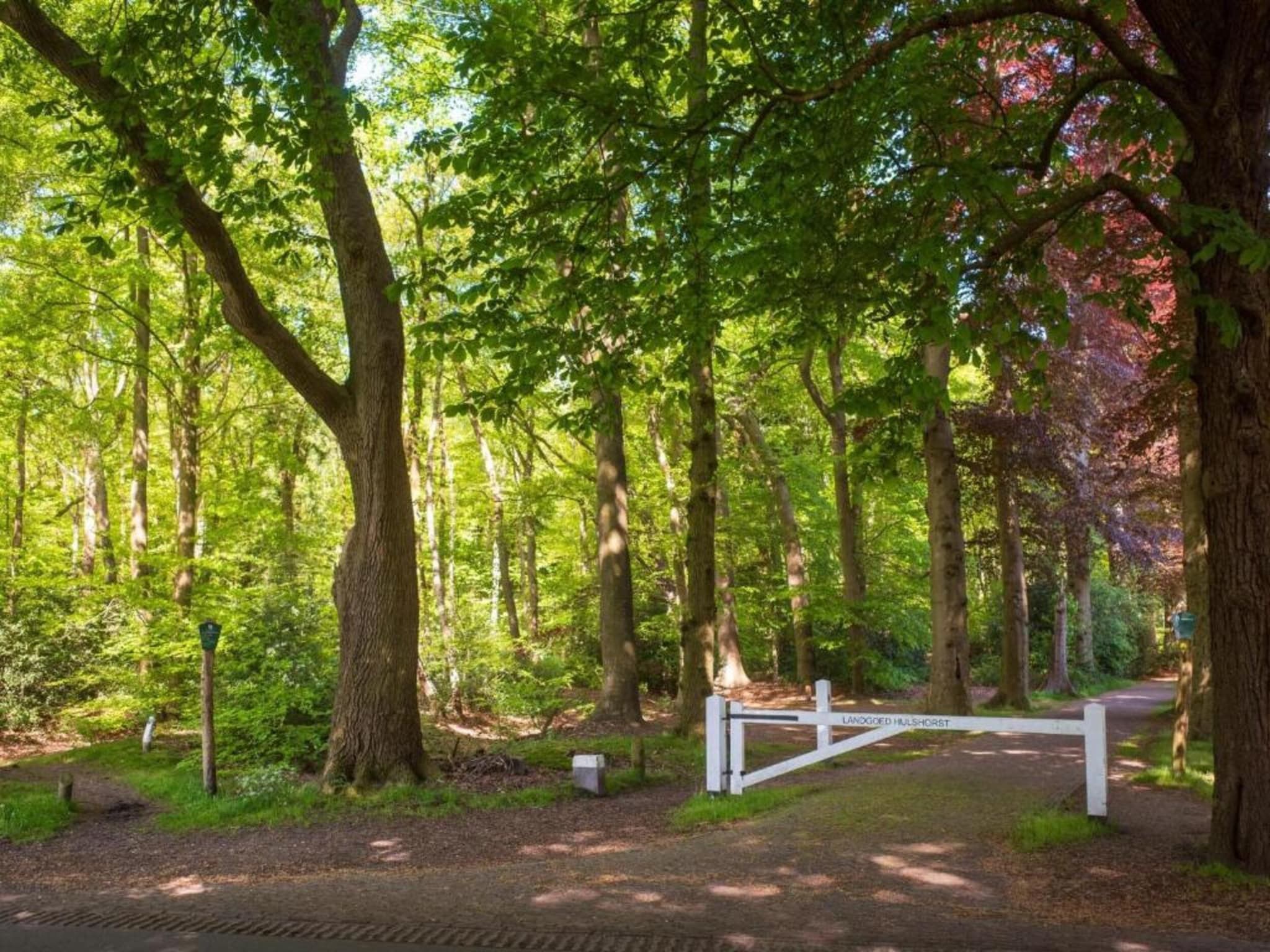 Kukeluusje in Hulshorst - Foto 31 van 40