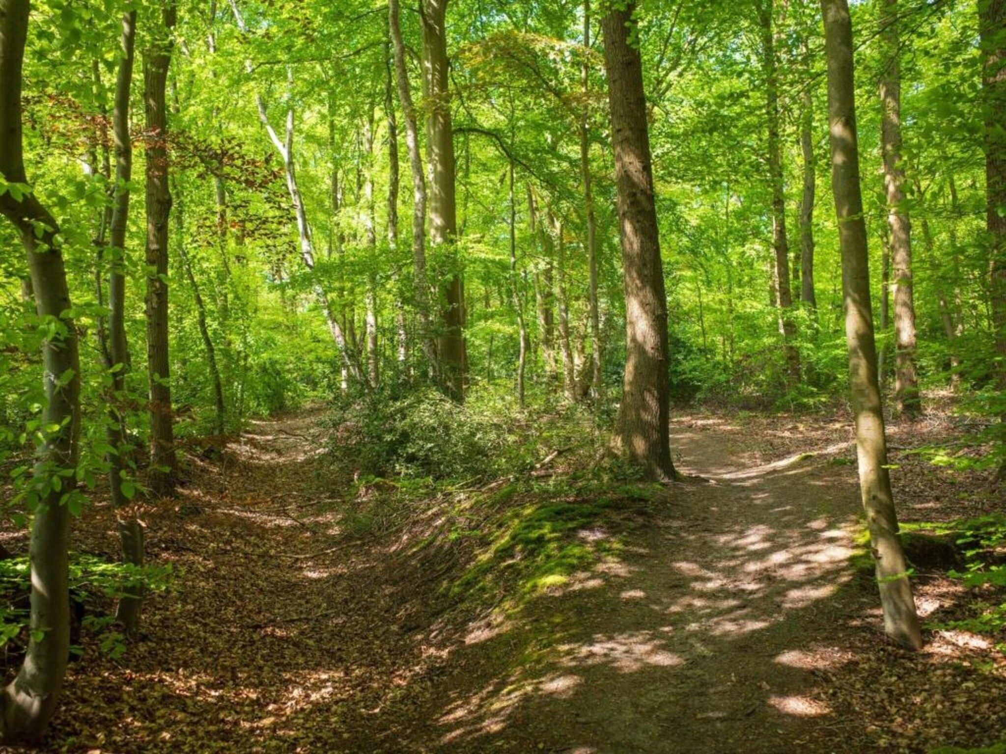 Kukeluusje in Hulshorst - Foto 33 van 40