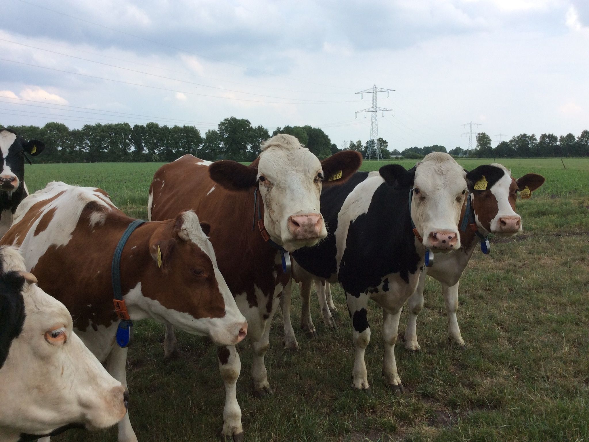 Guesthouse The Old Cottage in Volkel - Foto 37 van 40