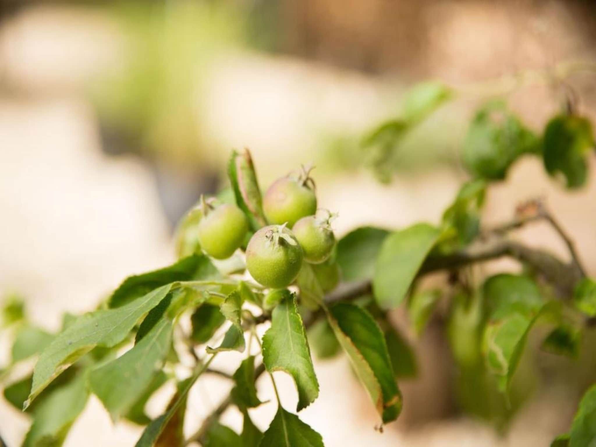 Sfeerbeeld van Vakantiepark Weerterbergen 5 in Weert