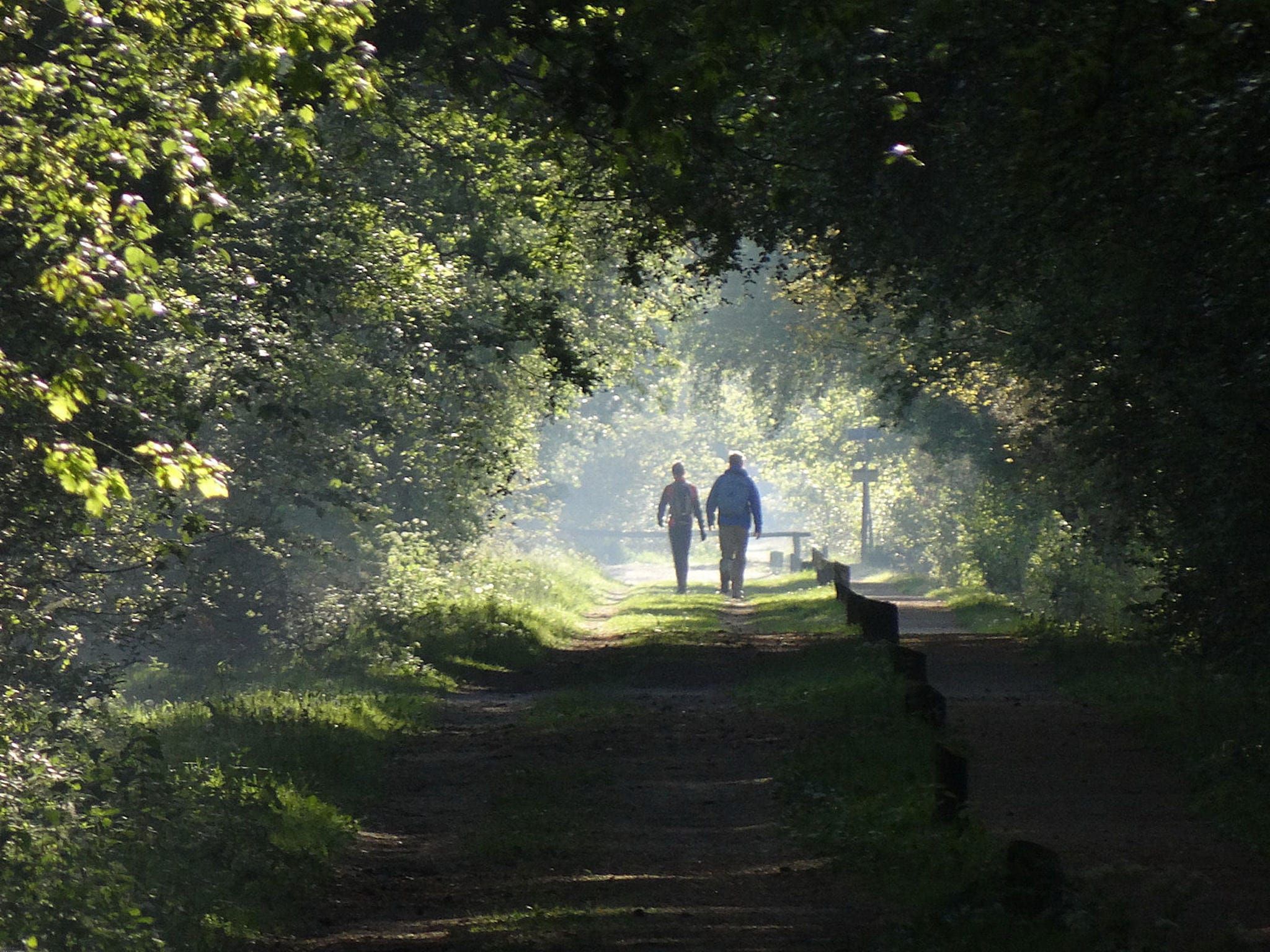 Landrijk de Reesprong 2 in Buurse - Foto 34 van 39