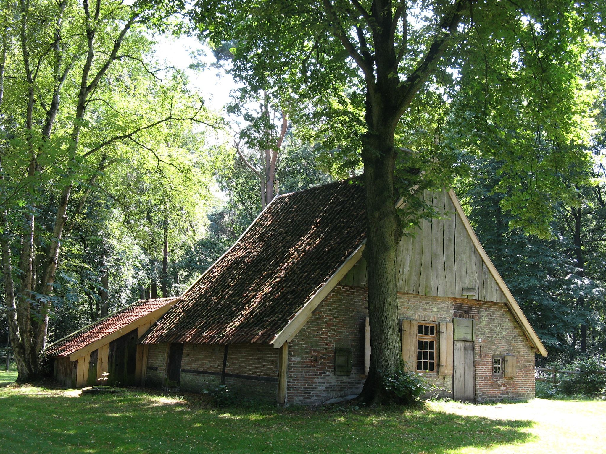 De omgeving van Landrijk de Reesprong 2 in Buurse