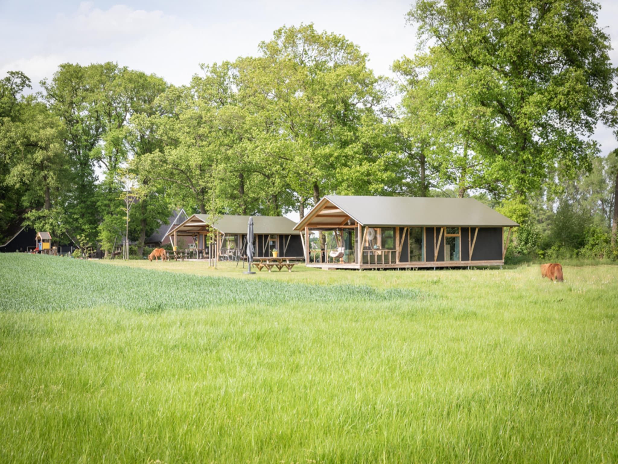 De buitenkant van Landrijk de Reesprong 2 in Buurse