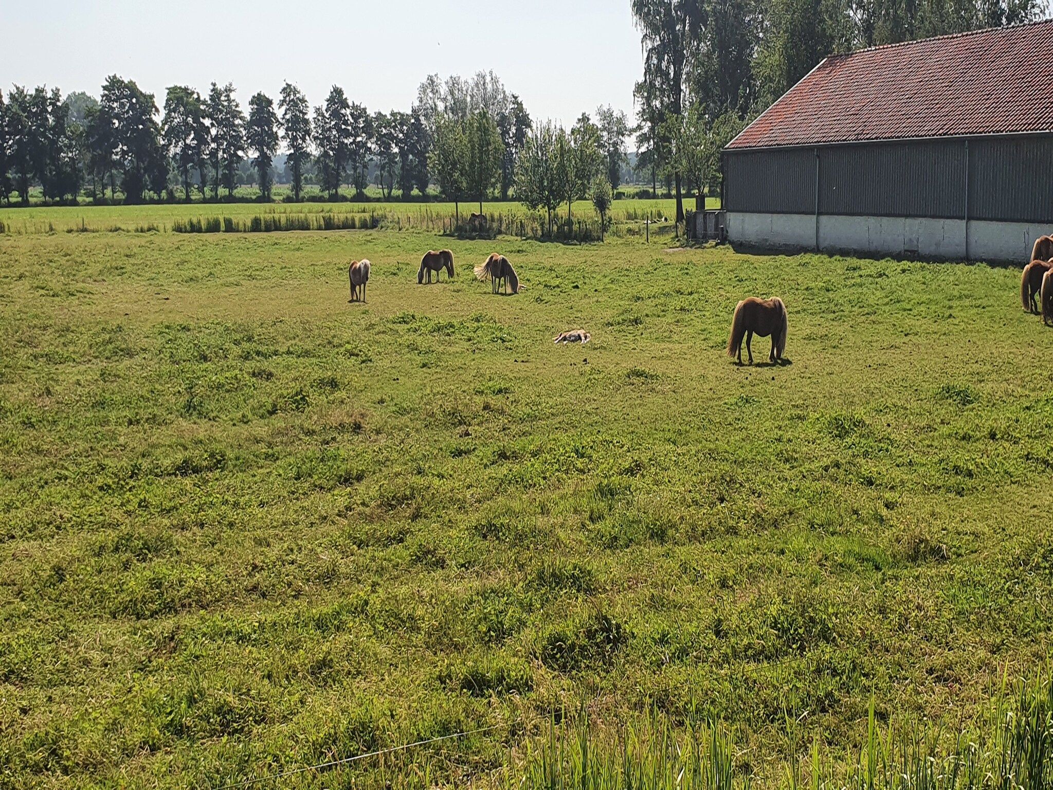 Landelijk Utrecht in Overberg - Foto 35 van 40