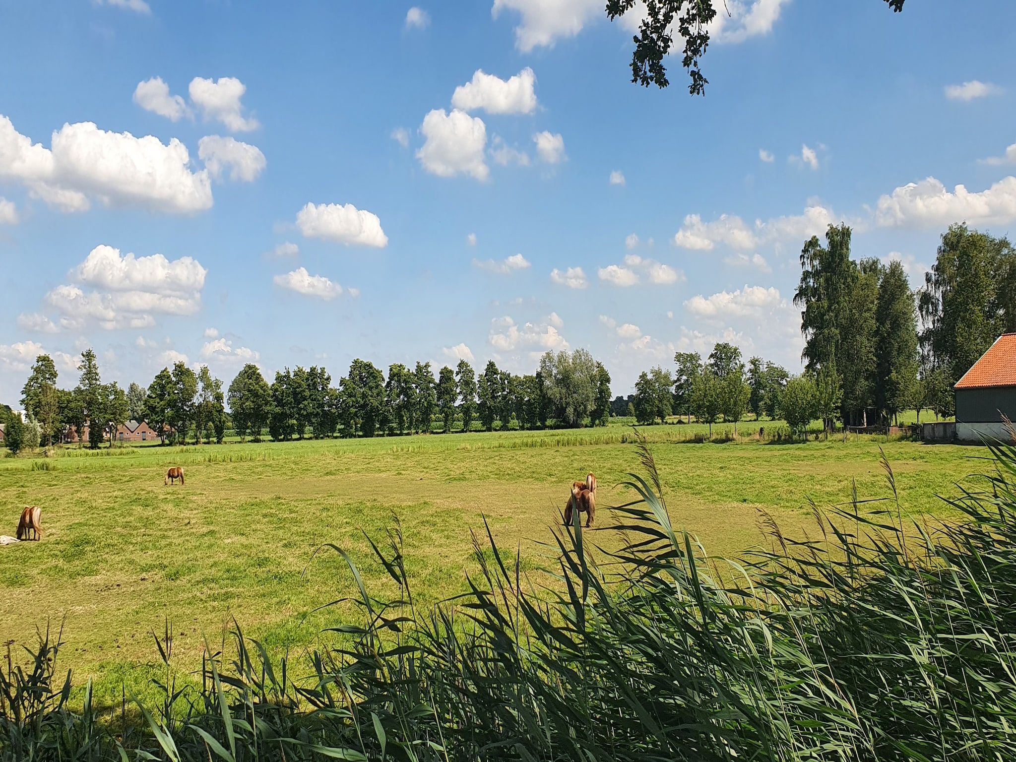 Landelijk Utrecht in Overberg - Foto 40 van 40