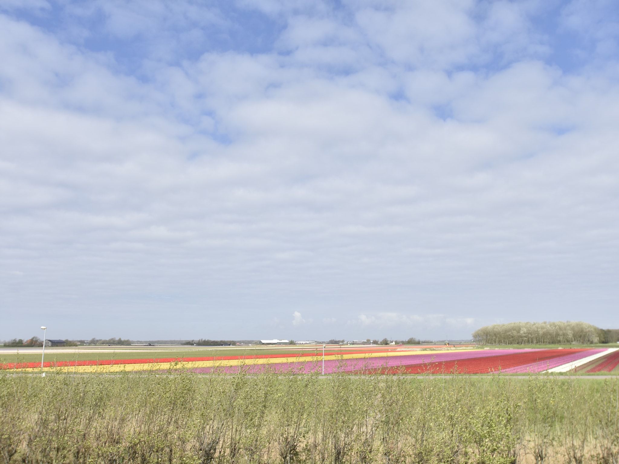 Het uitzicht vanaf Hazenborgh - Zon in Callantsoog