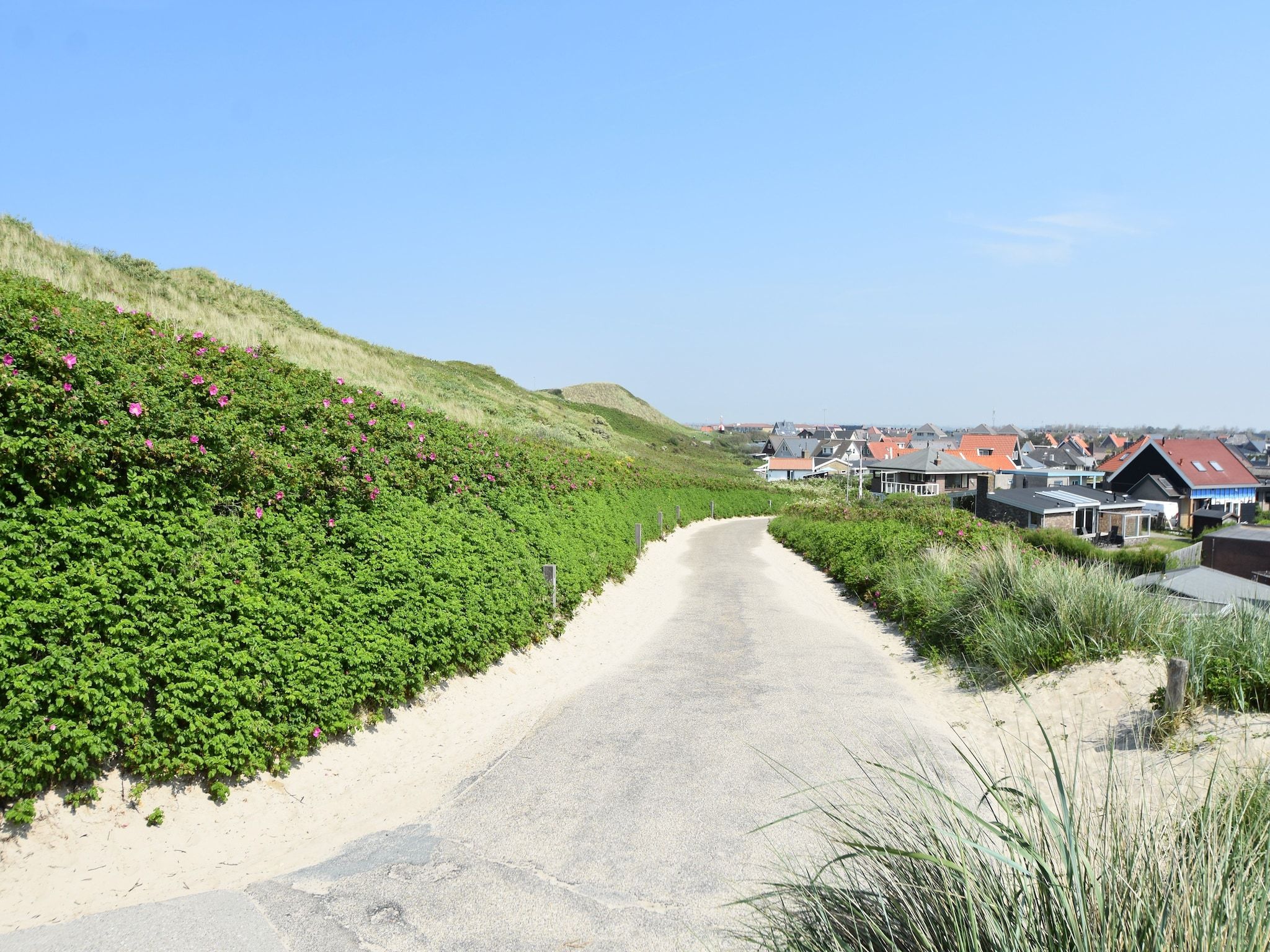De omgeving van Hazenborgh - Zand in Callantsoog