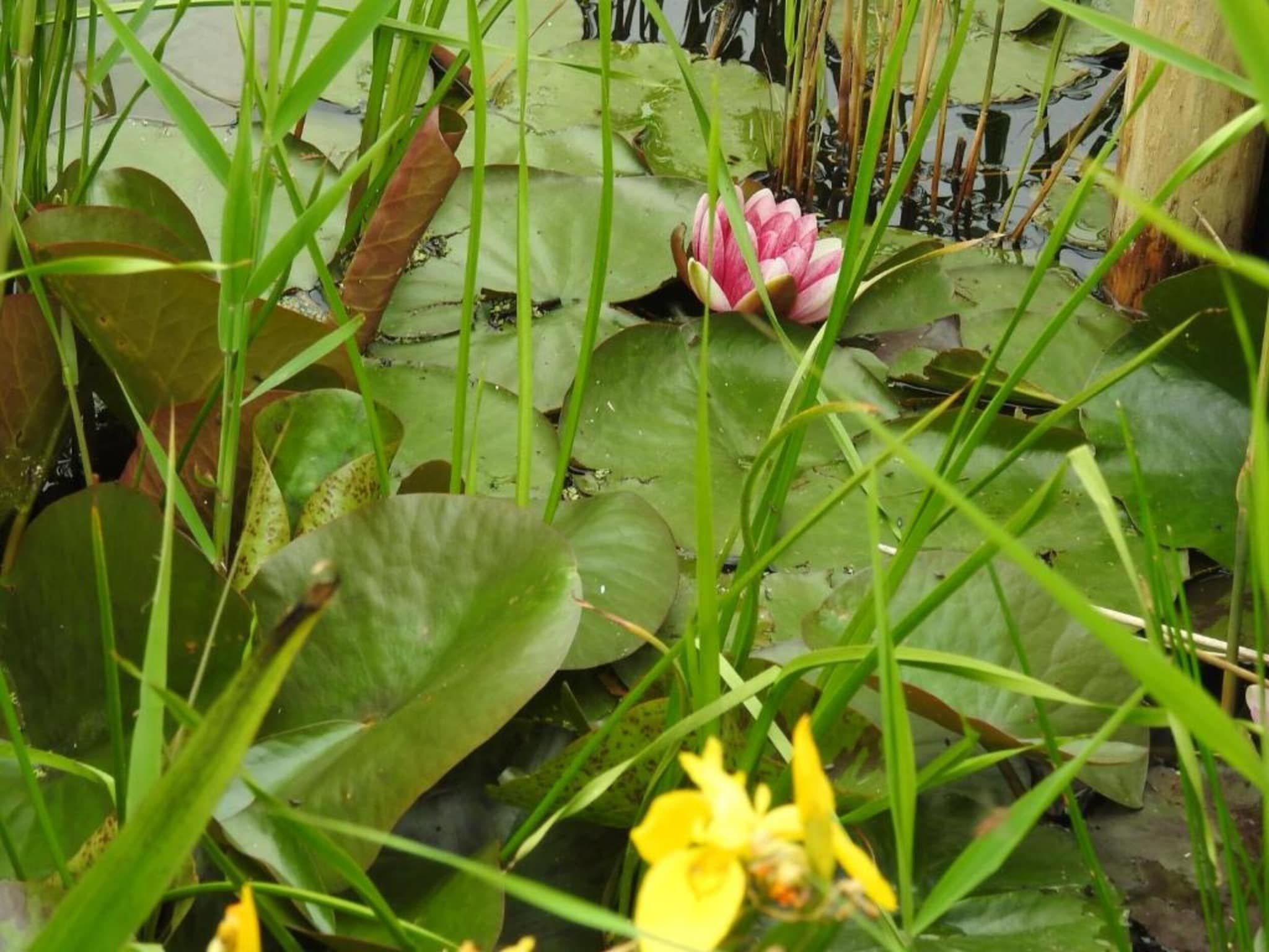 Hazenborgh - Zand in Callantsoog - Foto 28 van 40