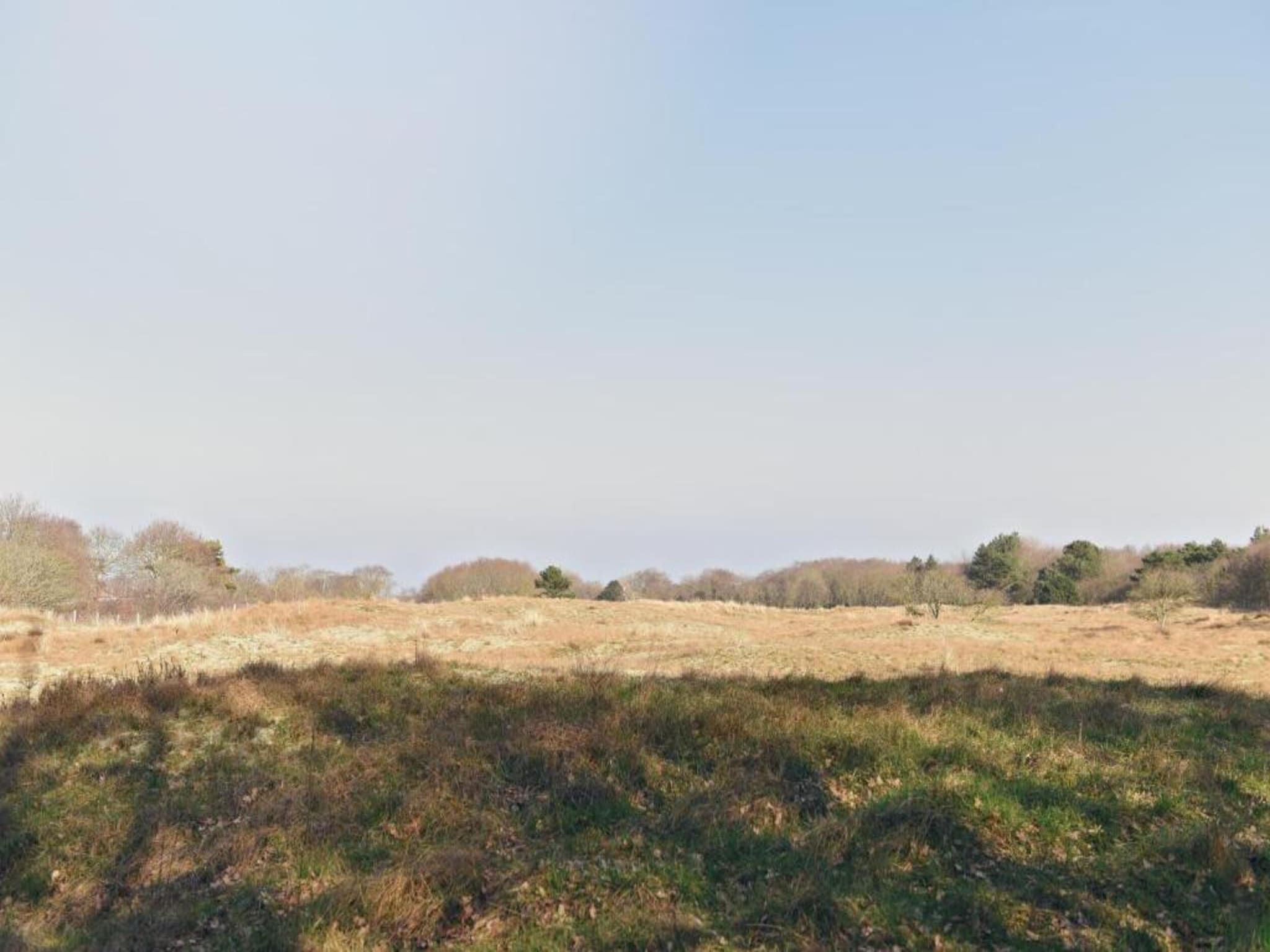 Hazenborgh - Zand in Callantsoog - Foto 30 van 40