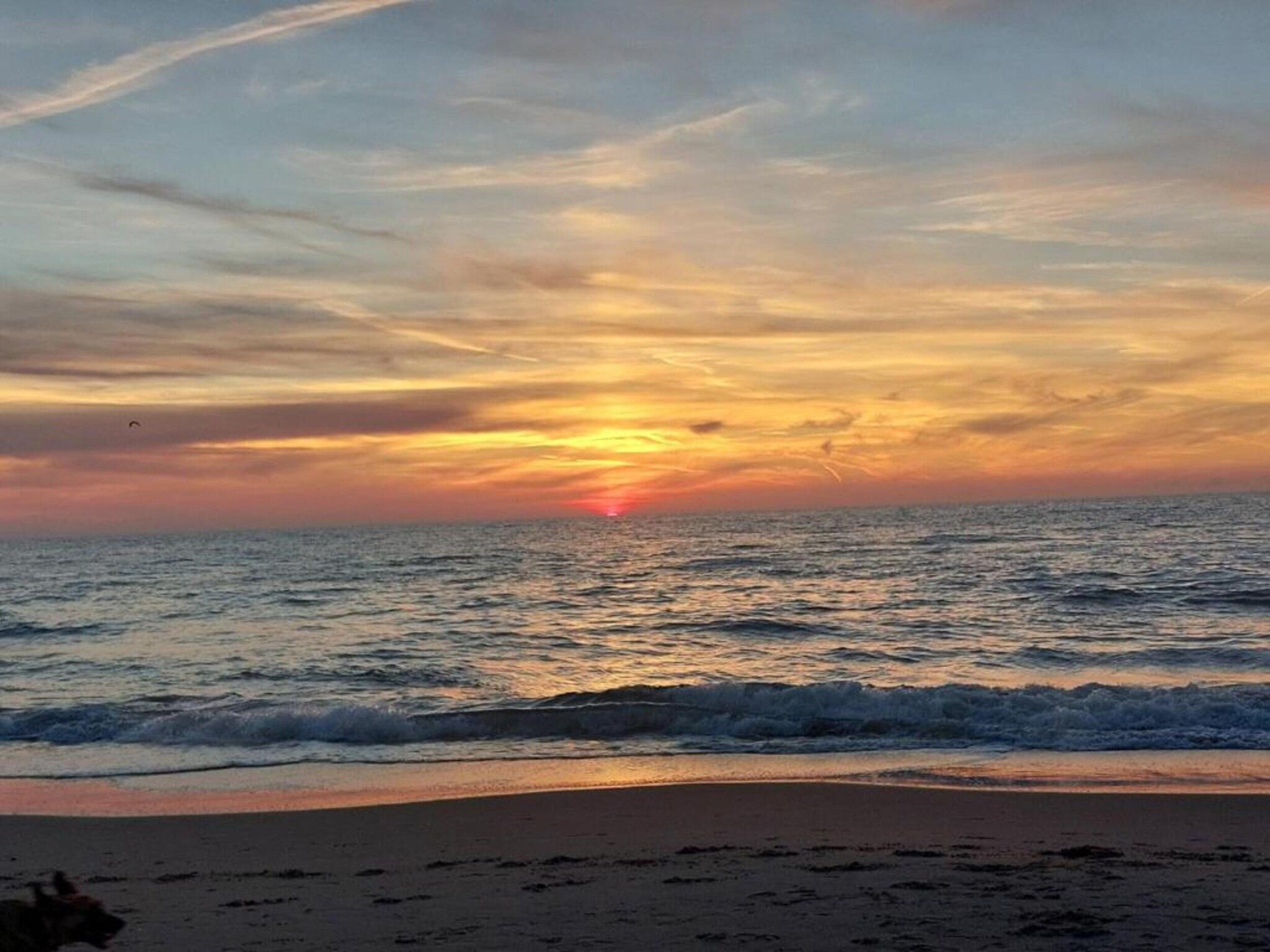 Hazenborgh - Zand in Callantsoog - Foto 33 van 40