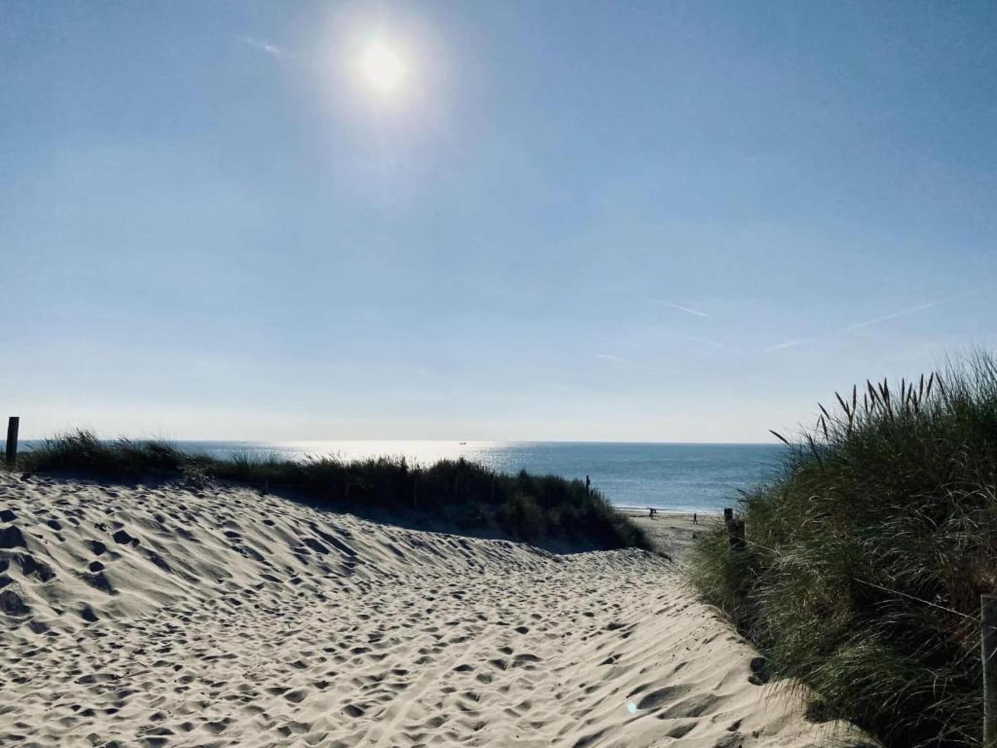 Hazenborgh - Zand in Callantsoog - Foto 35 van 40