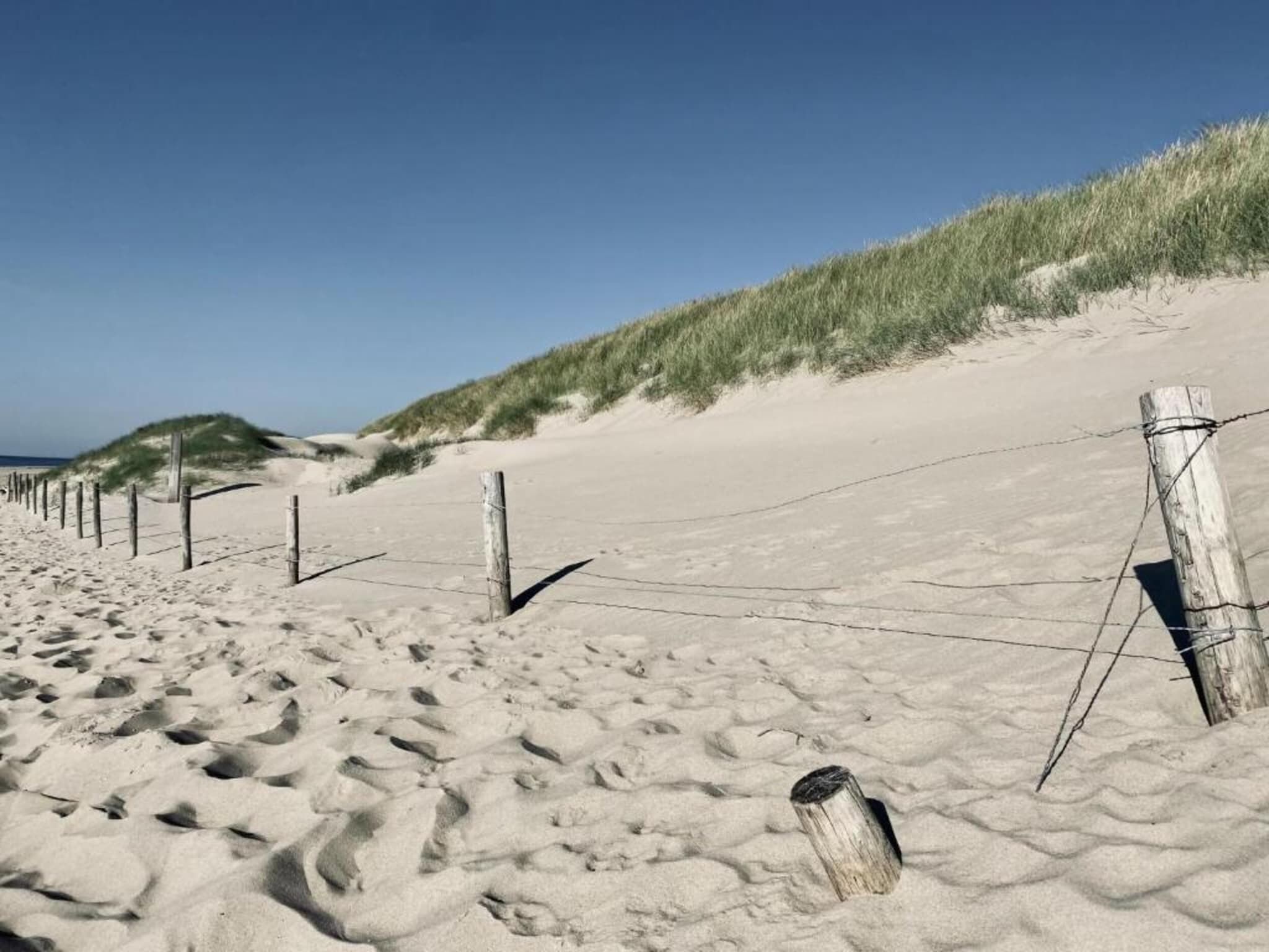 Hazenborgh - Zand in Callantsoog - Foto 36 van 40