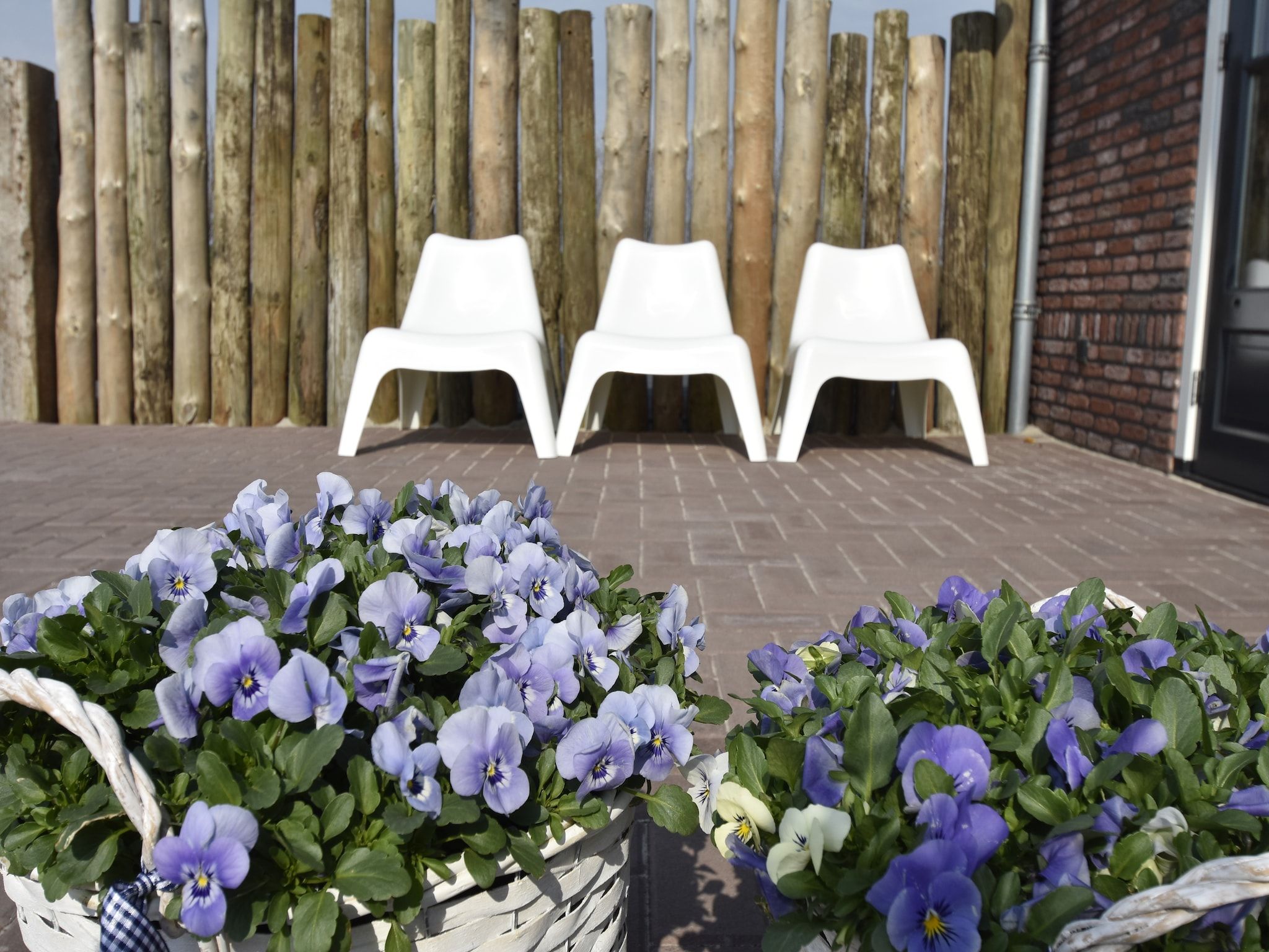 De buitenkant van Hazenborgh - Studio Eb in Callantsoog