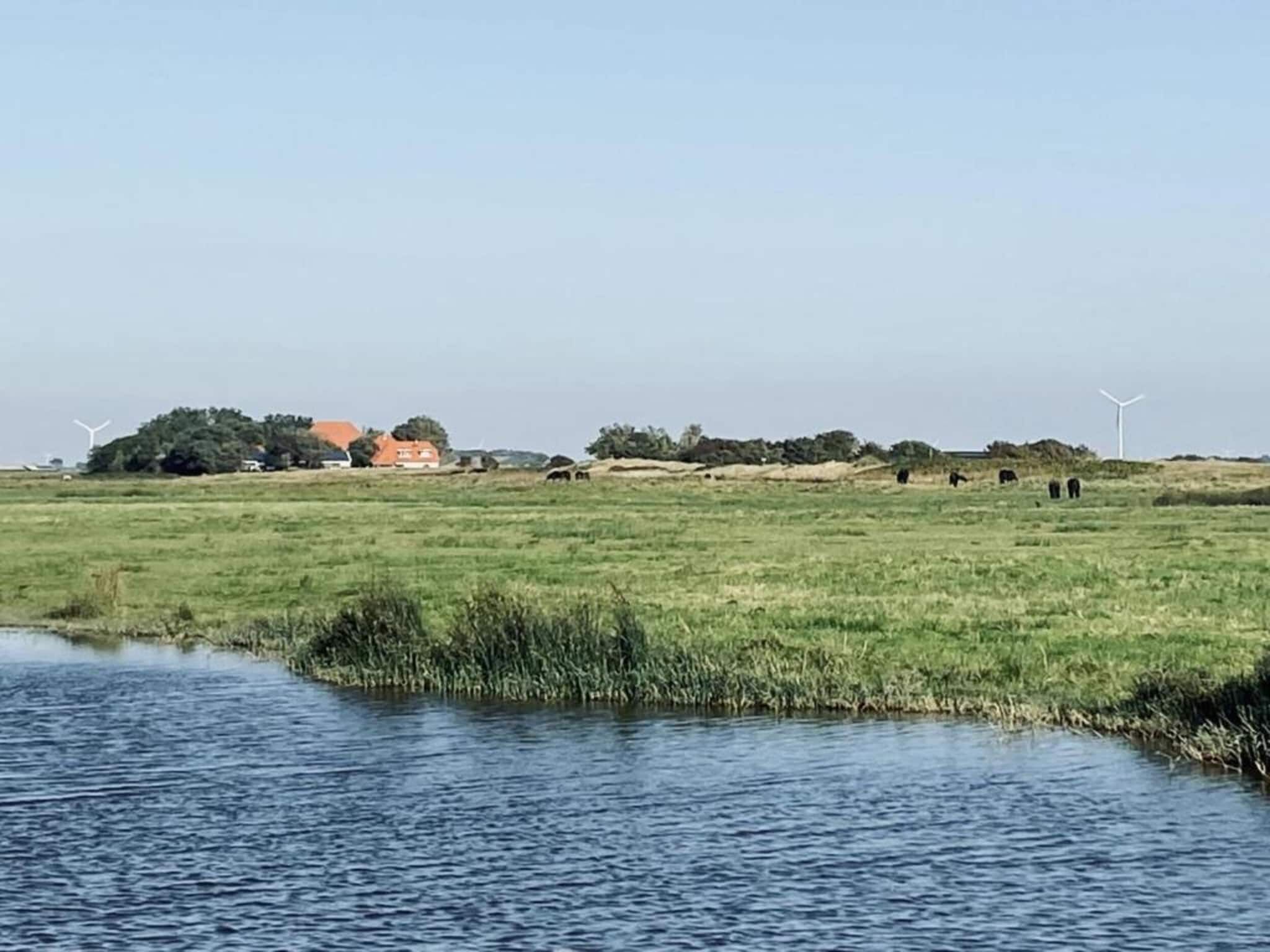 Hazenborgh - Studio Eb in Callantsoog - Foto 21 van 40