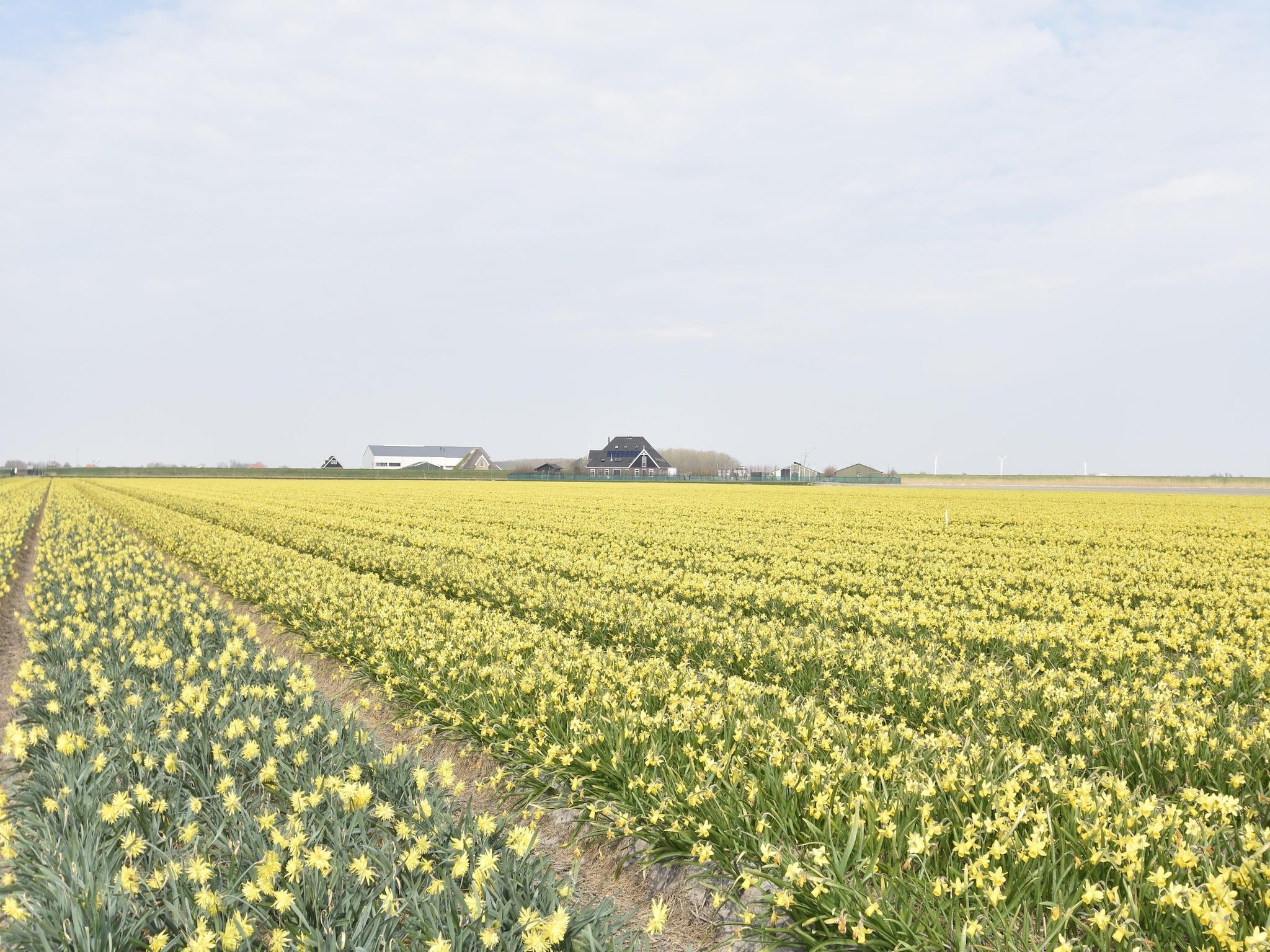 Hazenborgh - Studio Vloed in Callantsoog - Foto 38 van 40