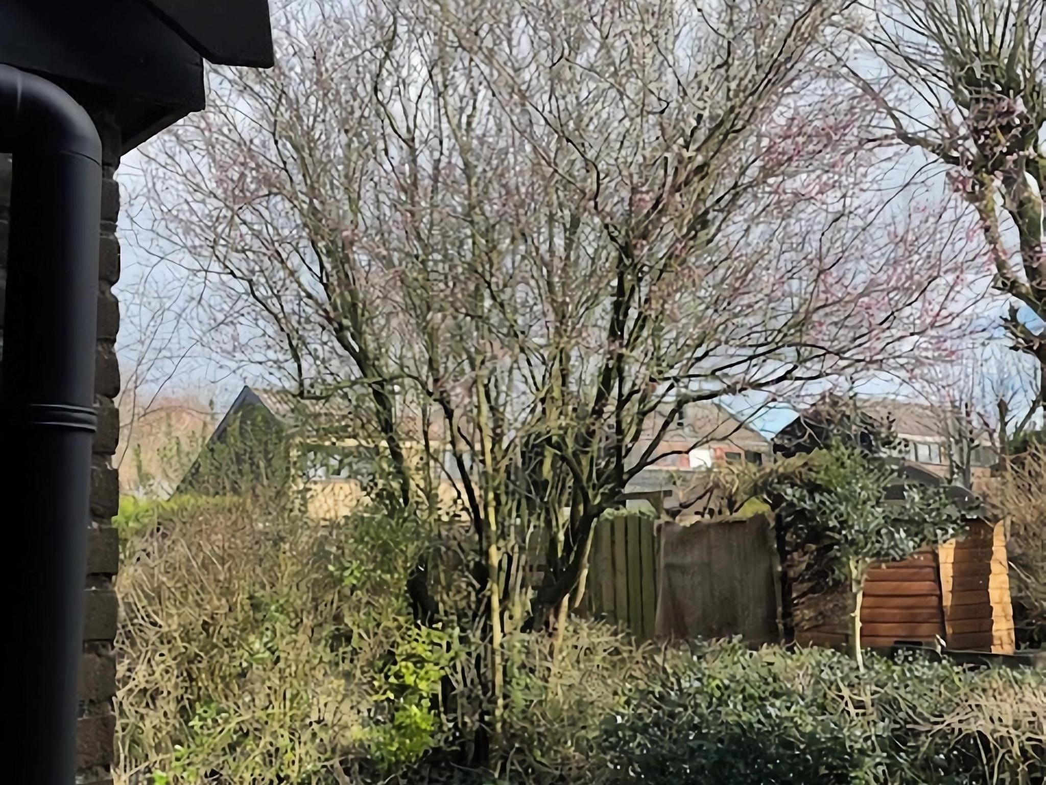 De tuin van De Reker Zon in Warmenhuizen