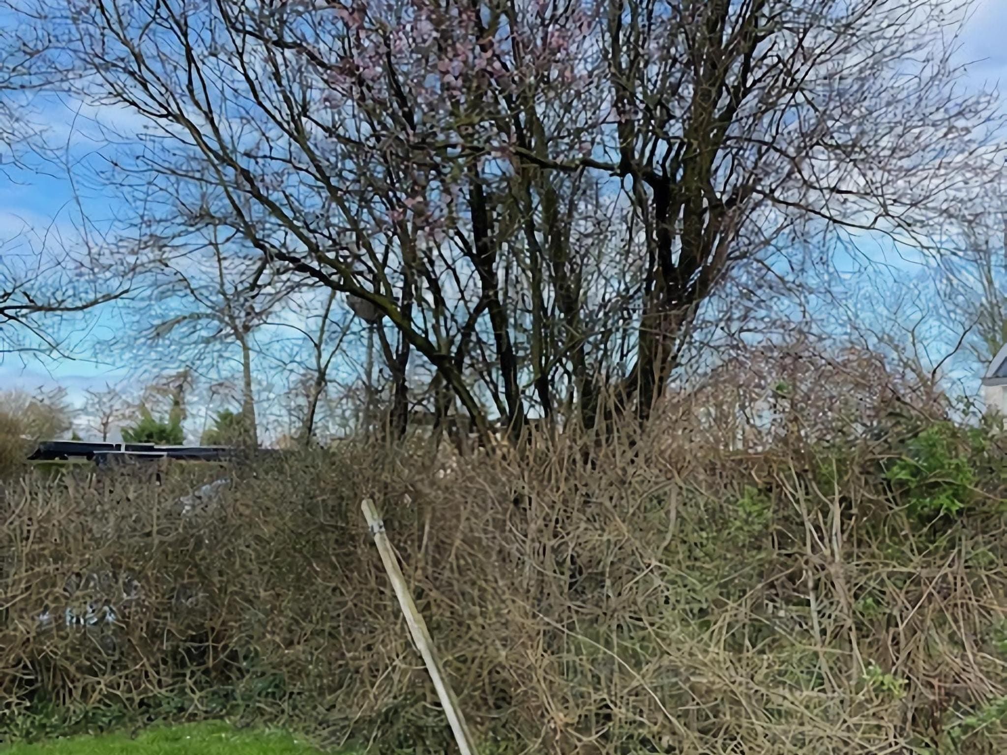 De tuin van De Reker Zon in Warmenhuizen