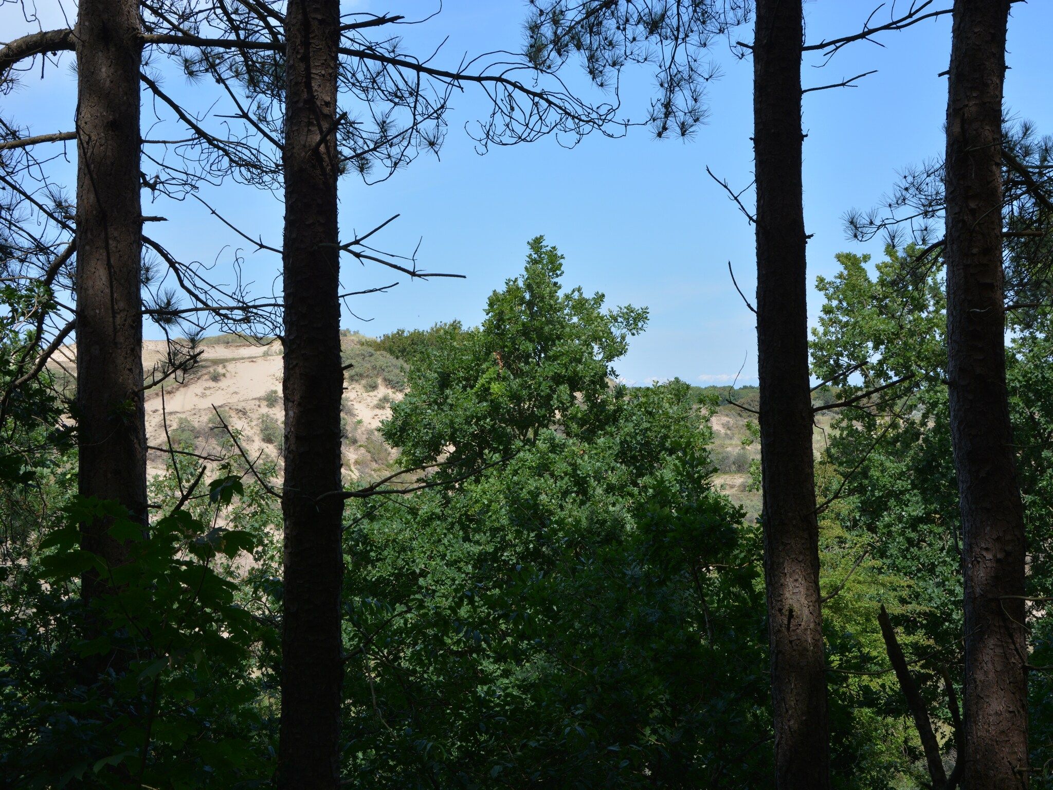 De omgeving van 't Zeepaardje in Noordwijkerhout