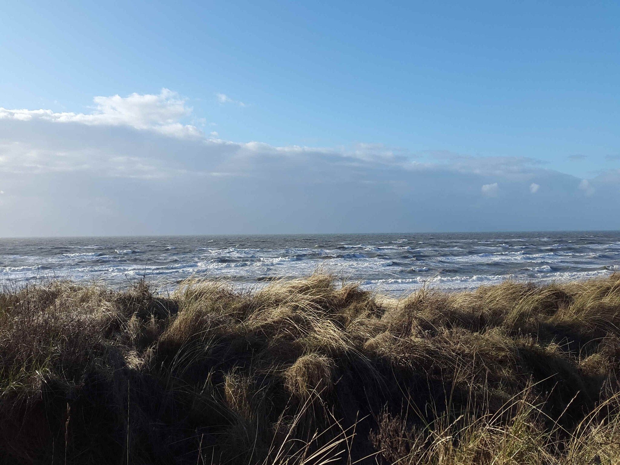 't Zeepaardje in Noordwijkerhout - Foto 35 van 40