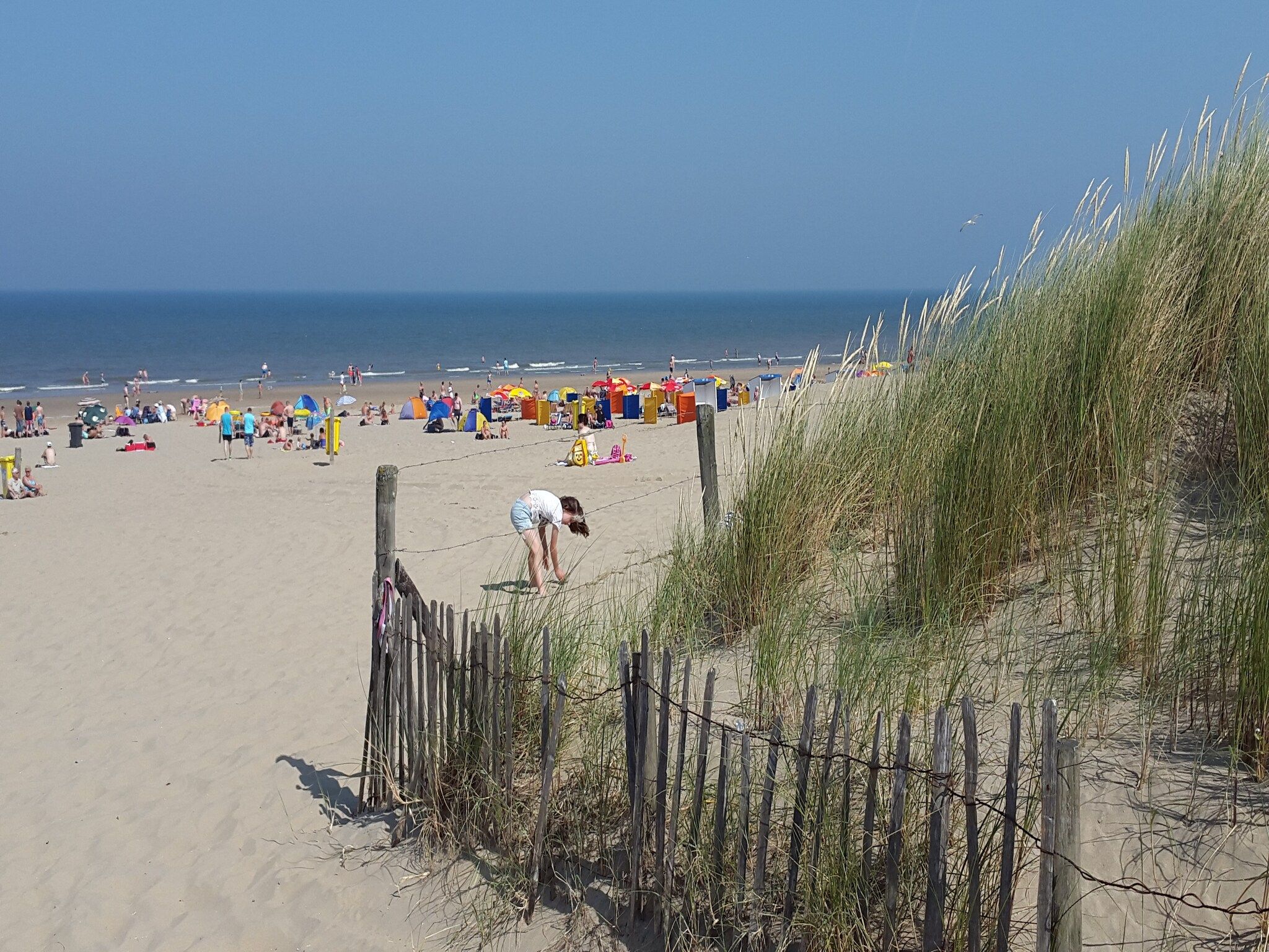 De omgeving van 't Zeepaardje in Noordwijkerhout