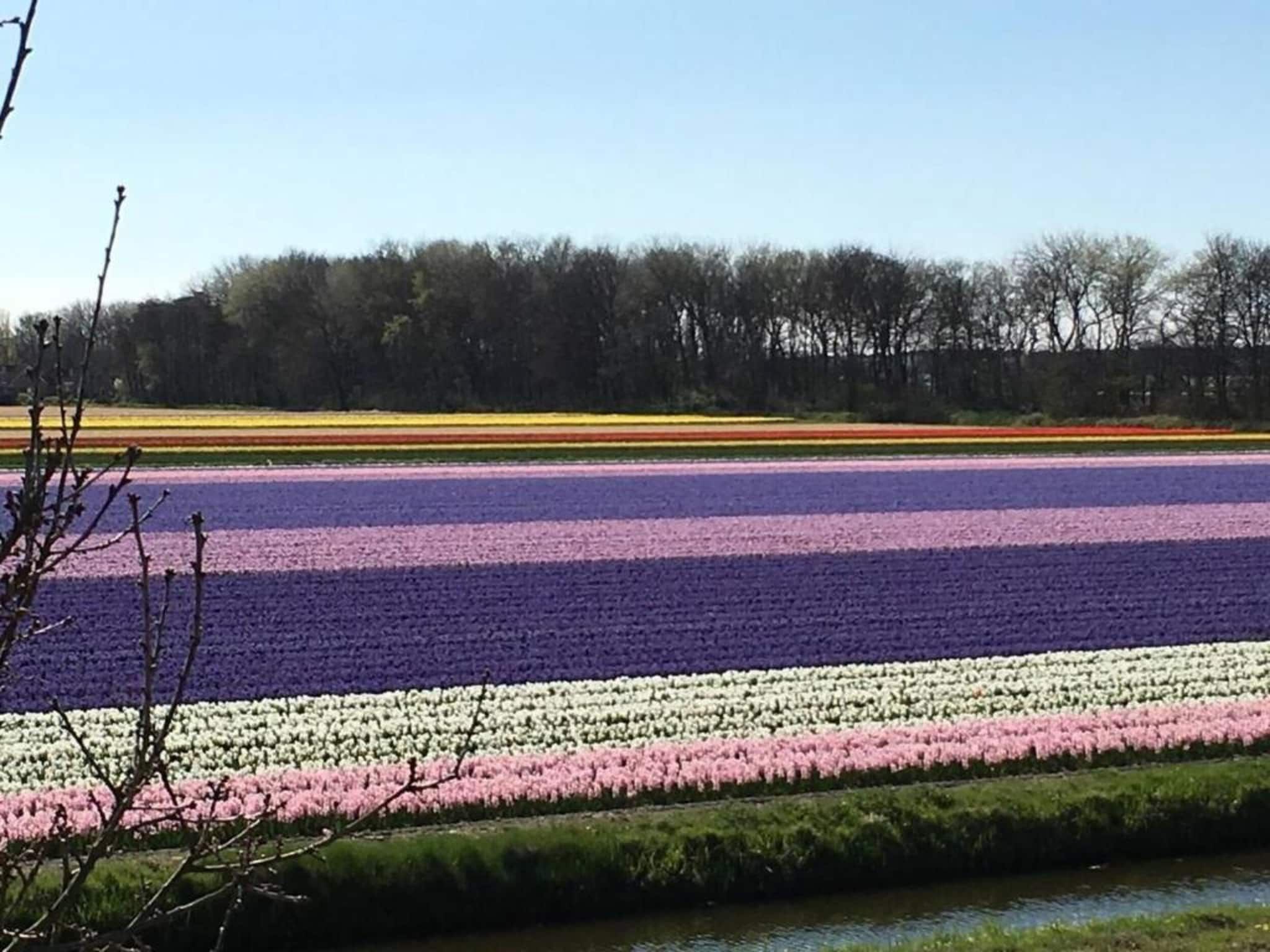 't Zeepaardje in Noordwijkerhout - Foto 38 van 40