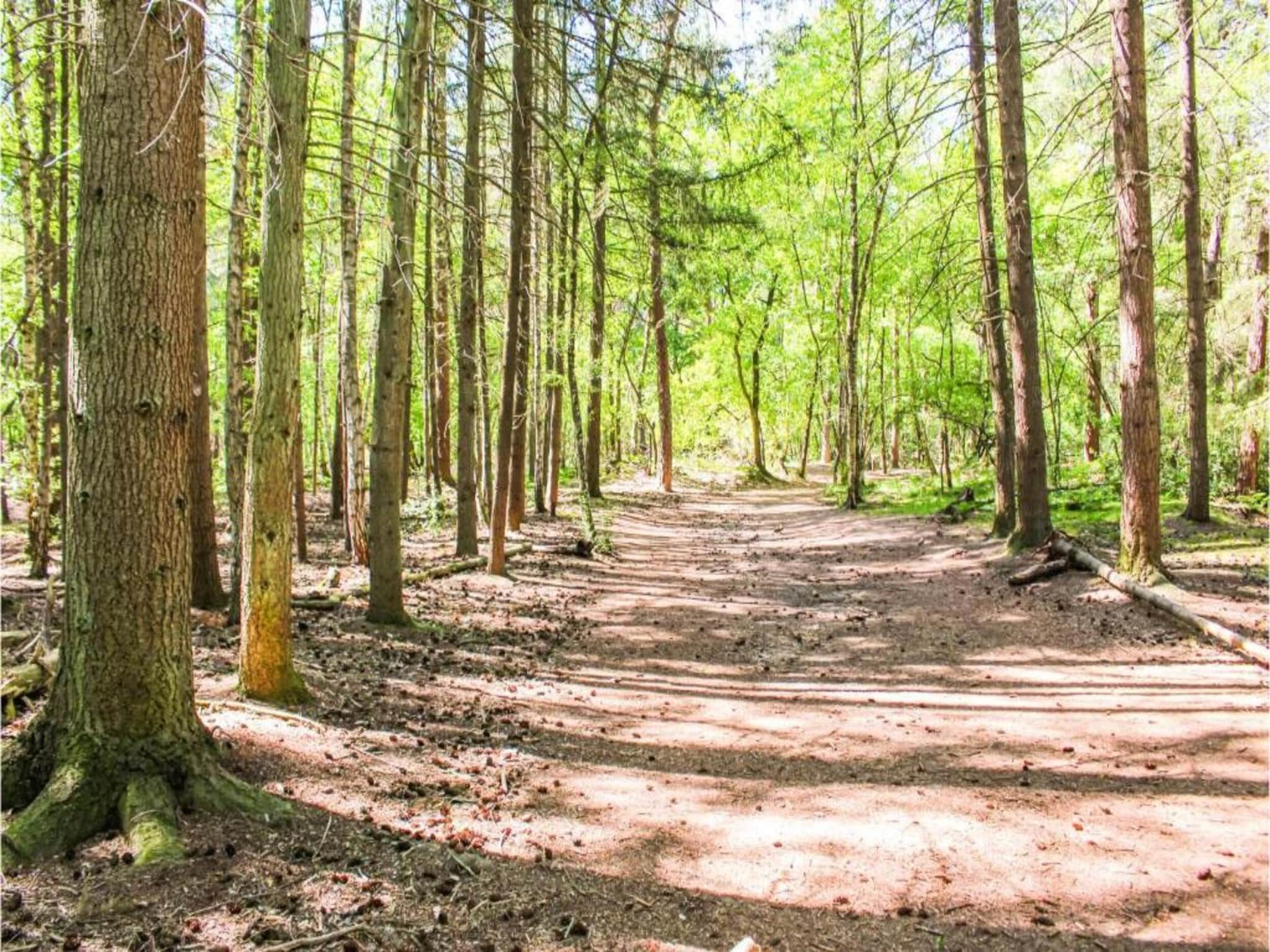 Recreatiepark Duinhoeve 4 in Udenhout - Foto 33 van 40