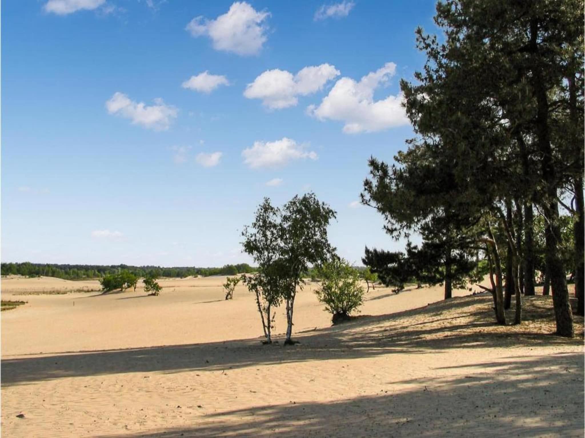 Recreatiepark Duinhoeve 6 in Udenhout - Foto 25 van 40