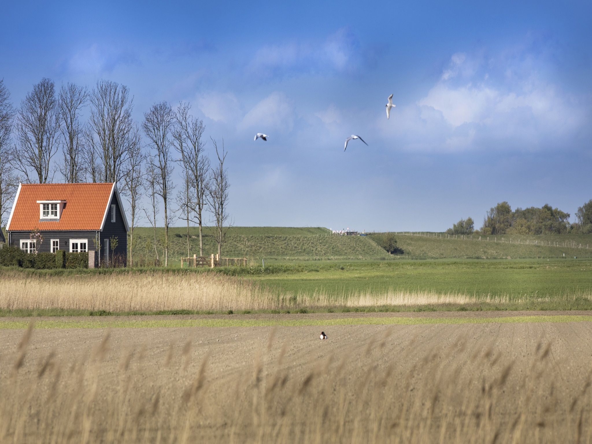 Het uitzicht vanaf Groeneweg 4 in Wissenkerke