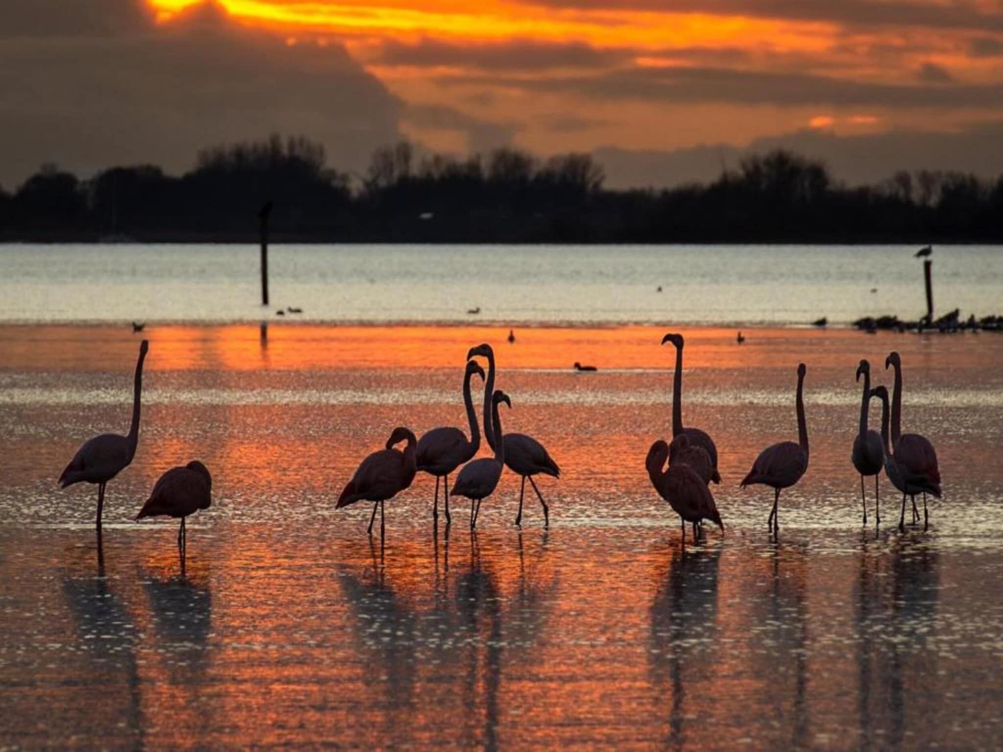 Aquadelta 27 in Bruinisse - Foto 24 van 24