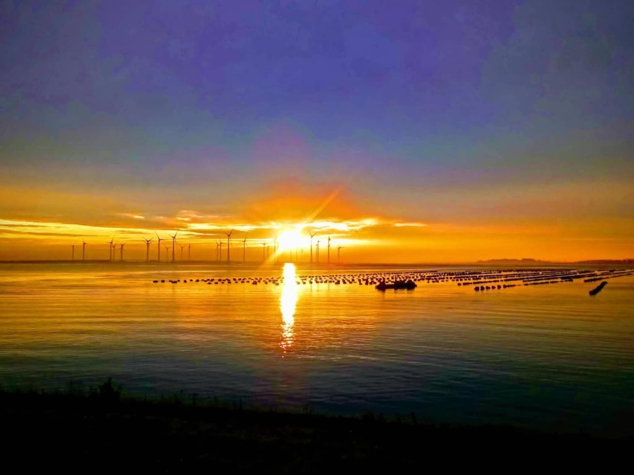 Aquadelta 28 in Bruinisse - Foto 18 van 43