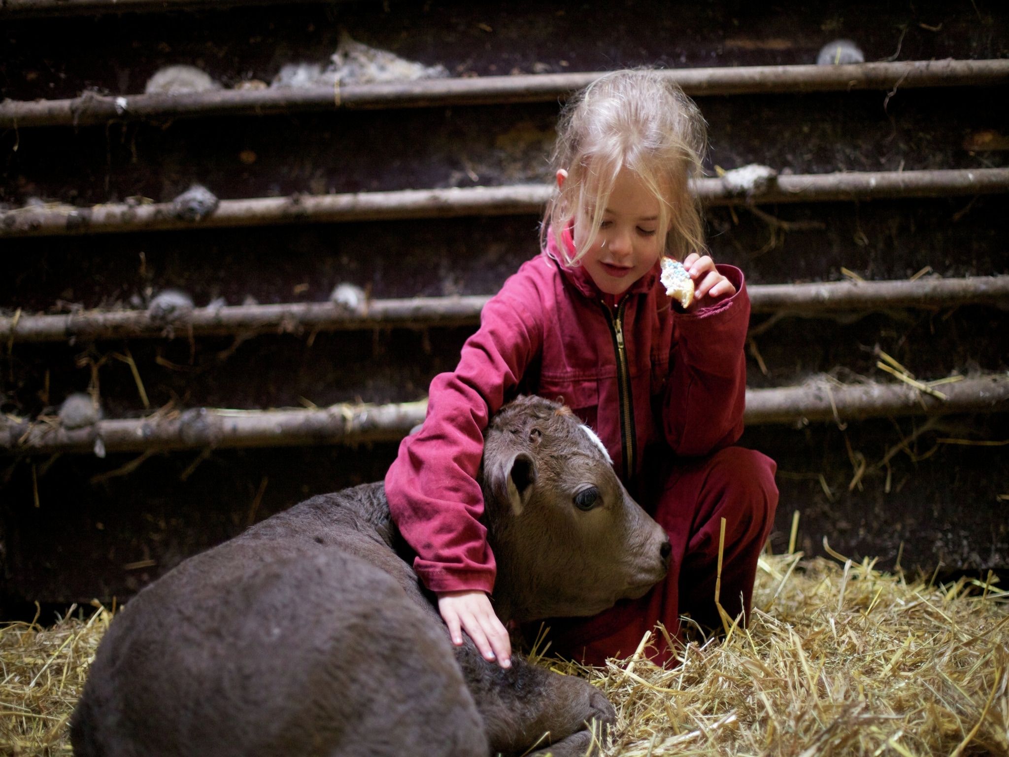 Parkfaciliteiten bij Koe in de Kost 2 in Heeten
