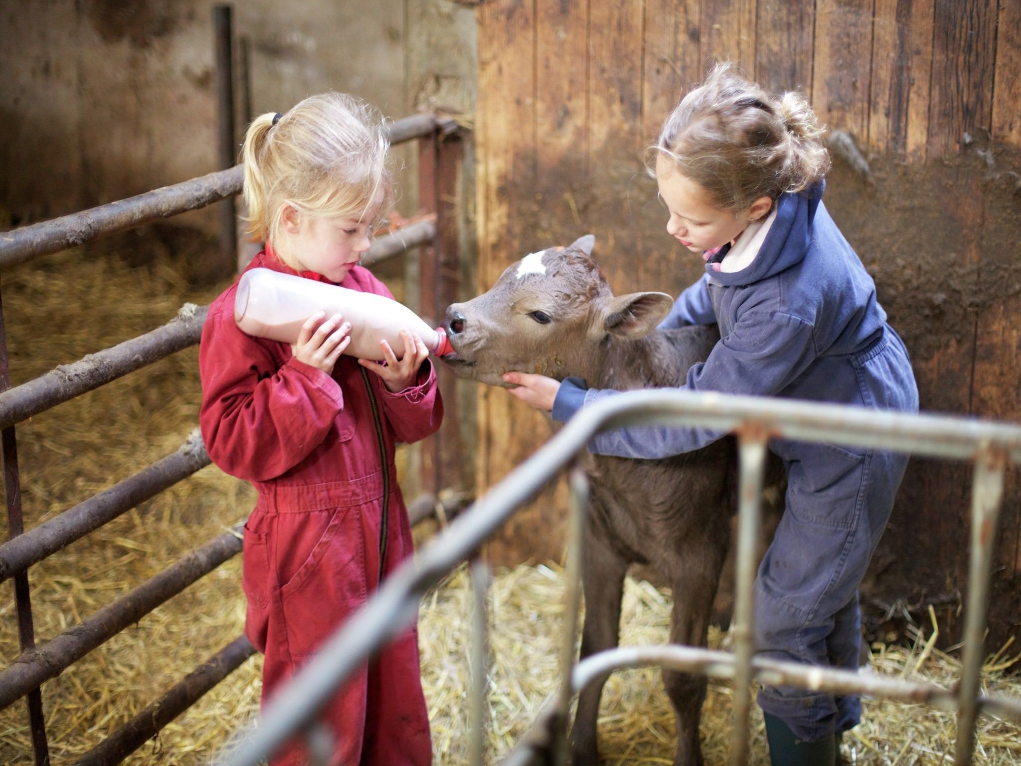 Parkfaciliteiten bij Koe in de Kost 2 in Heeten