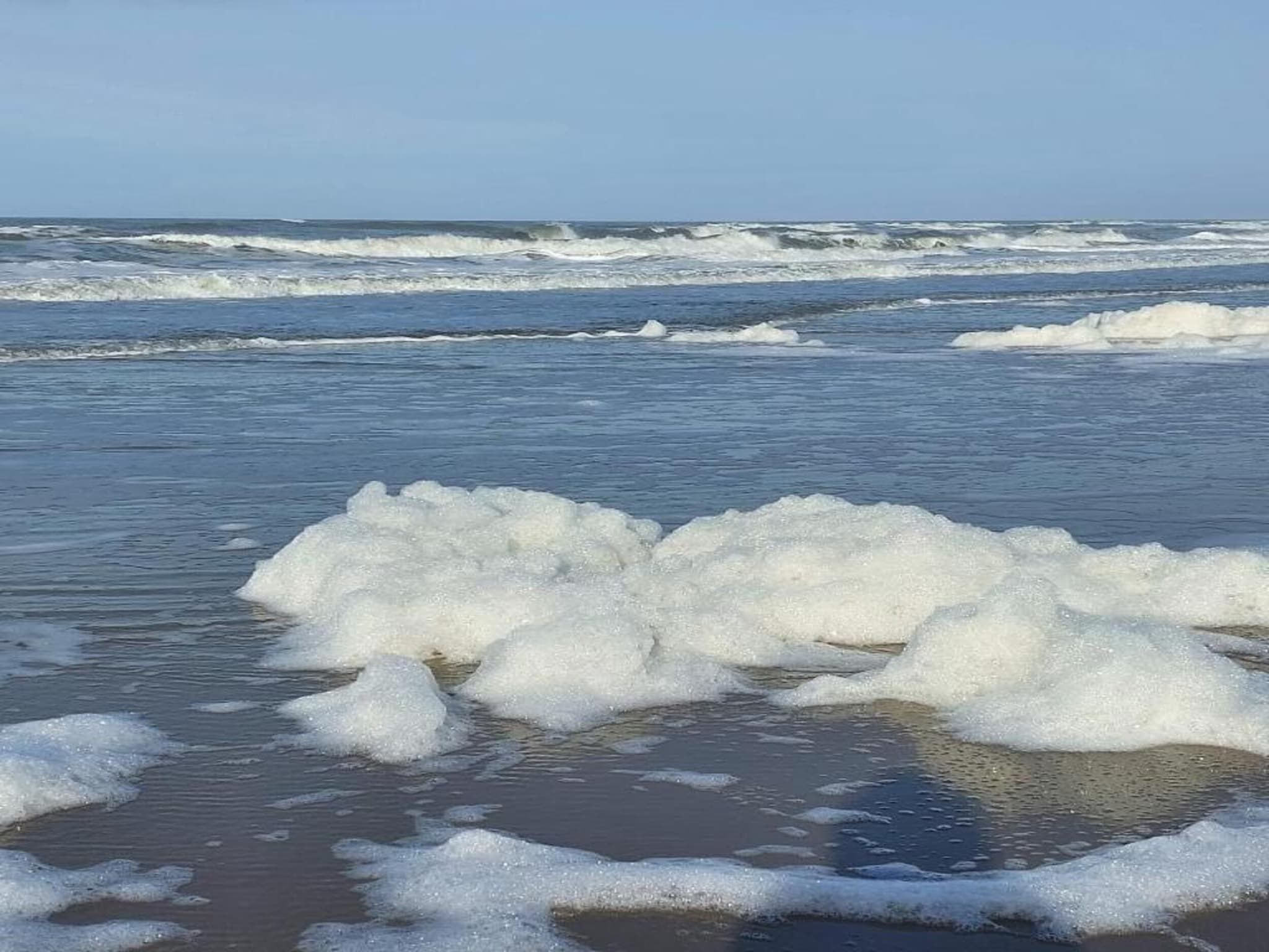 Zilte Bries in Callantsoog - Foto 29 van 35