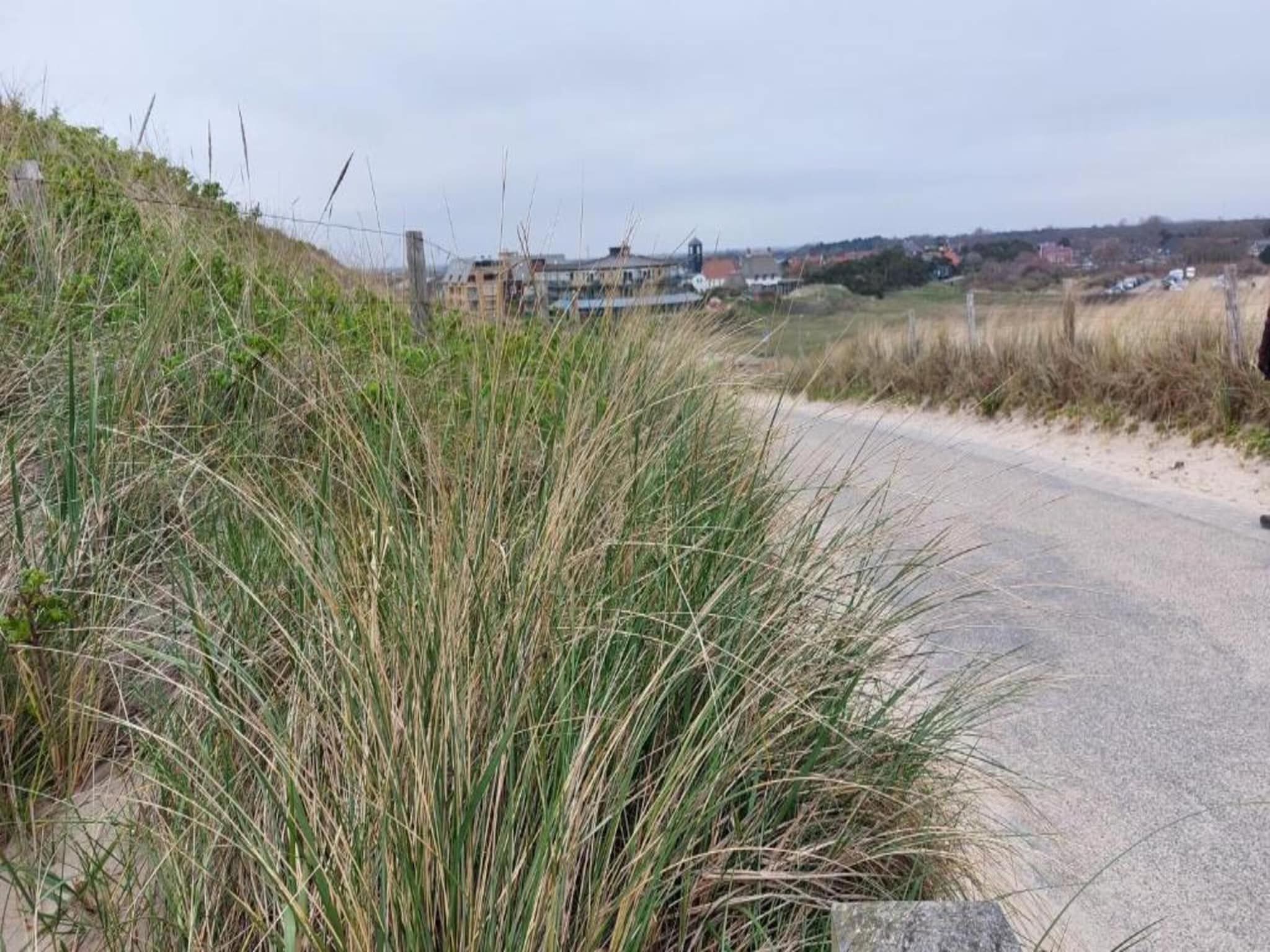 Zilte Bries in Callantsoog - Foto 31 van 35