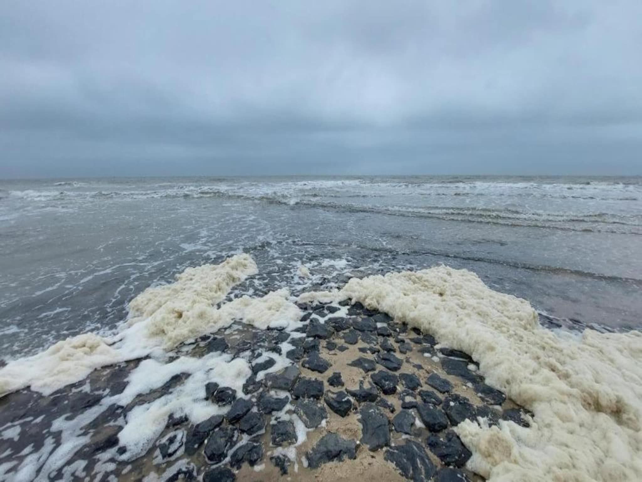 Zilte Bries in Callantsoog - Foto 33 van 35