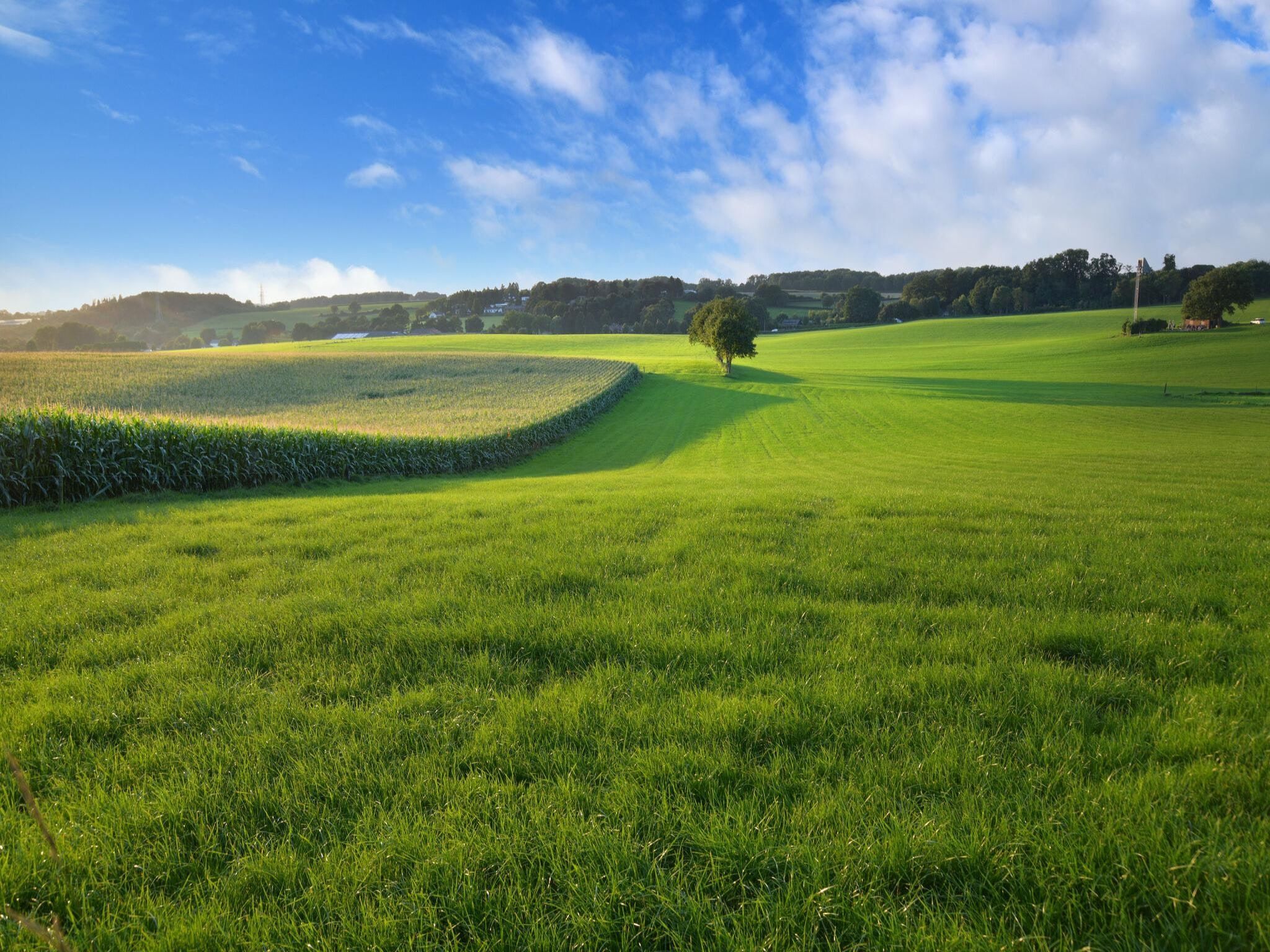 De omgeving van Hoeve A Gen Water- Donderblumke in Slenaken
