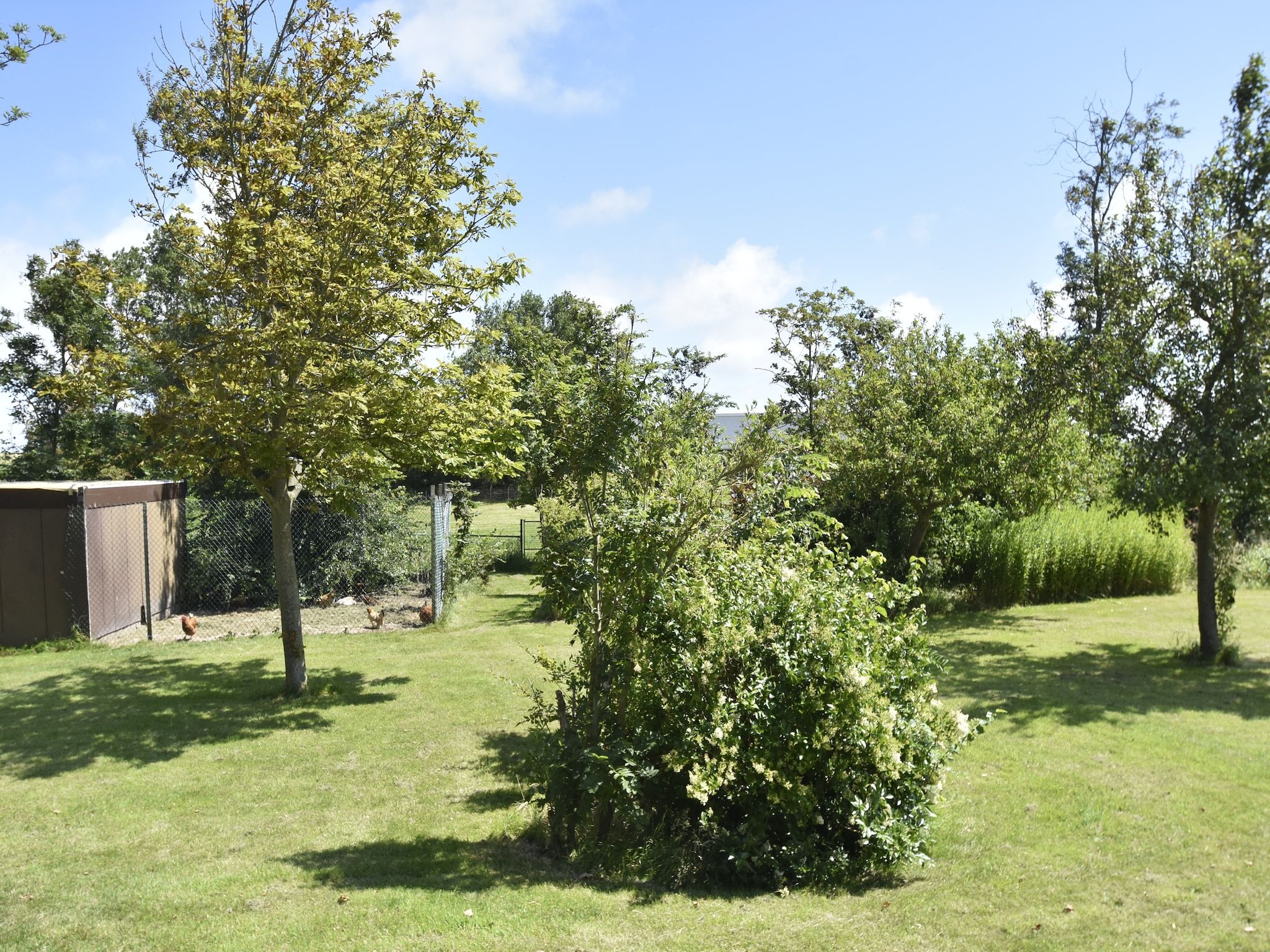 De tuin van Het Hoge Noorden in Hippolytushoef