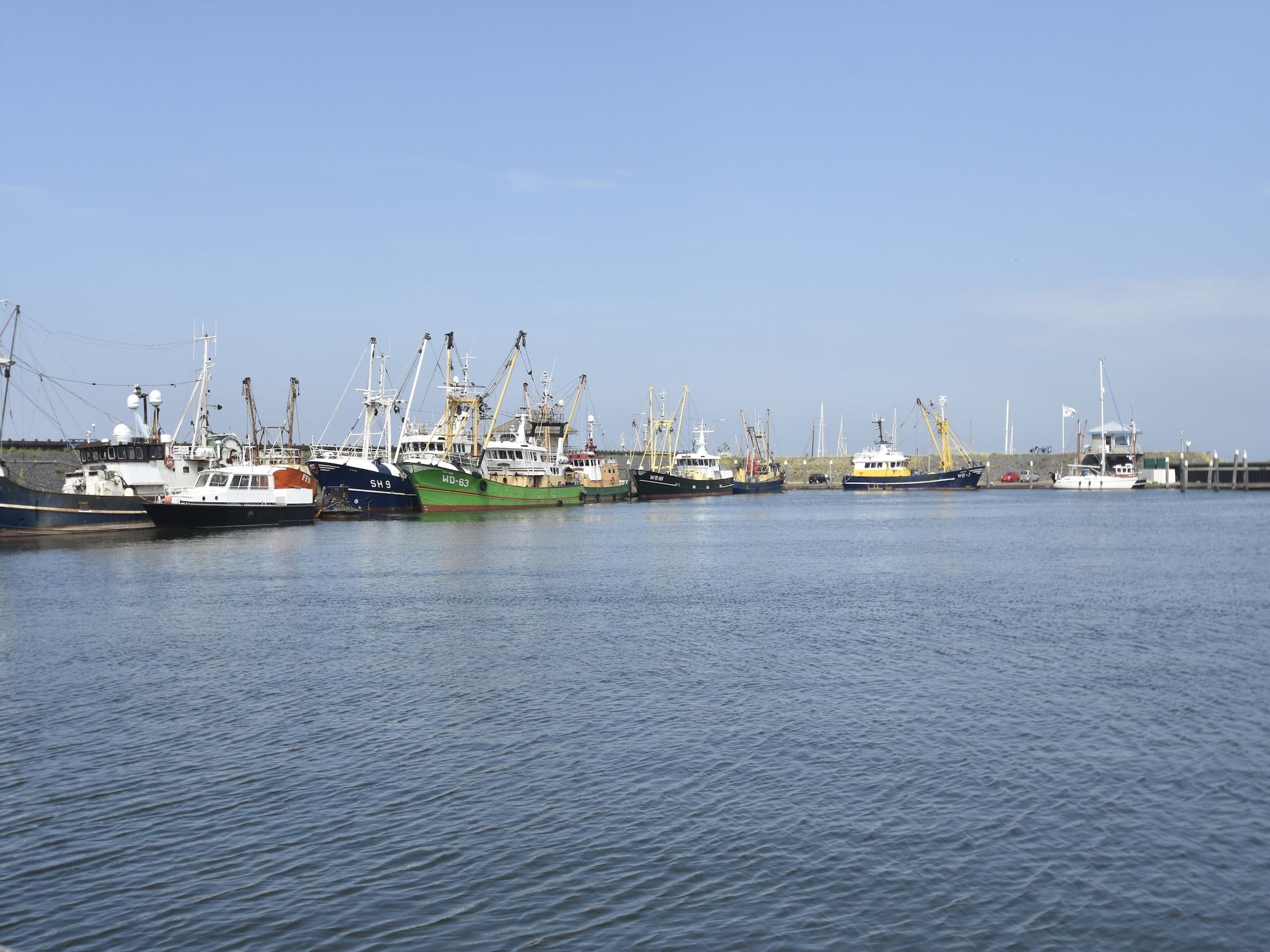 De omgeving van Het Hoge Noorden in Hippolytushoef