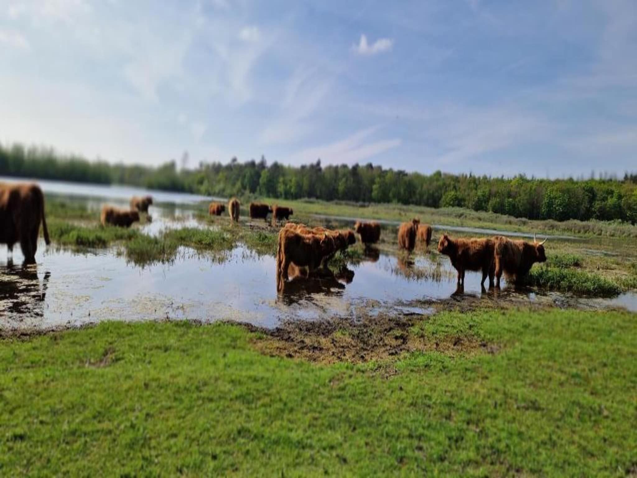 Het Hoge Noorden in Hippolytushoef - Foto 31 van 40