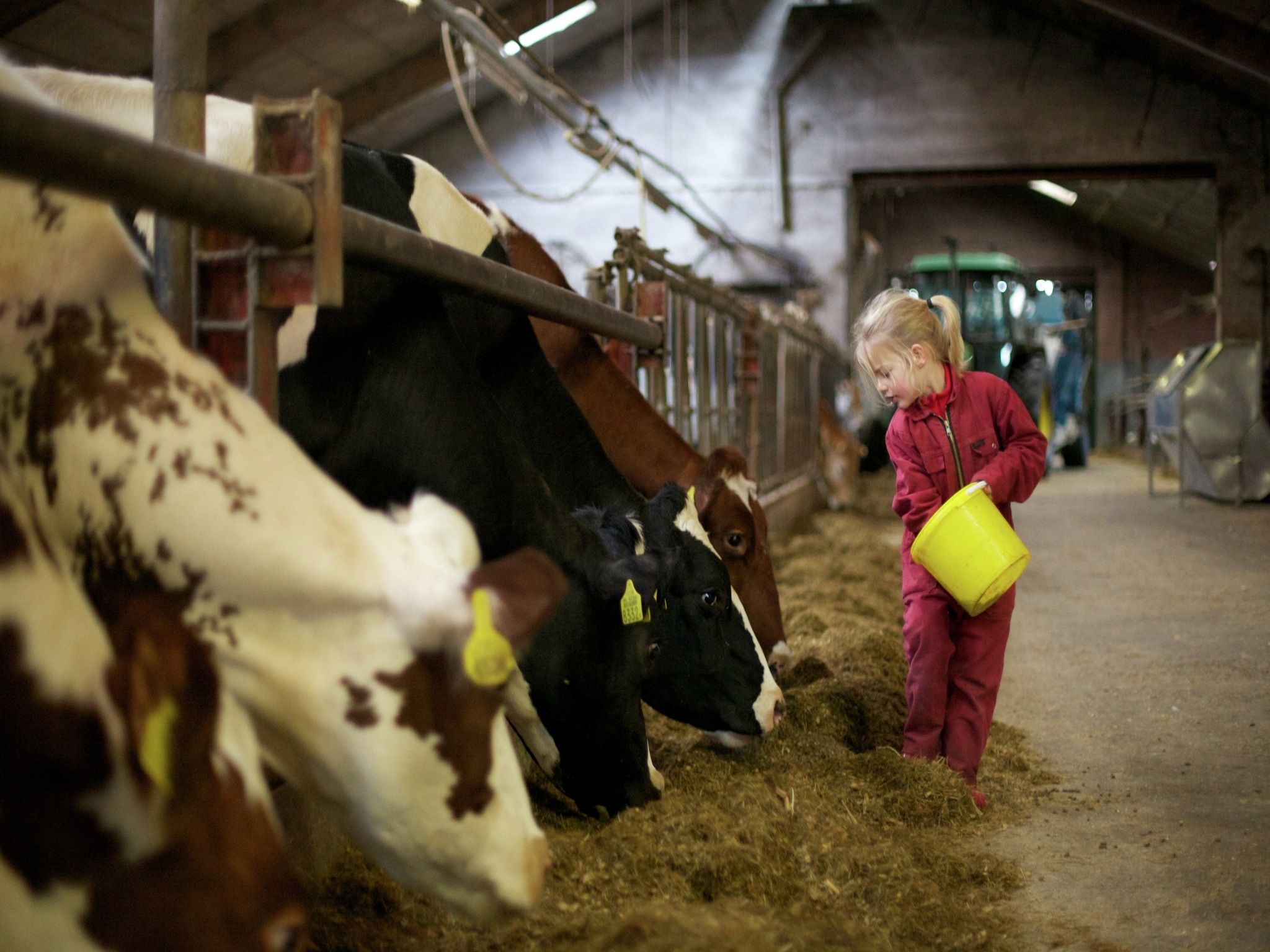 Voorzieningen bij Koe in de Kost 3 in Heeten