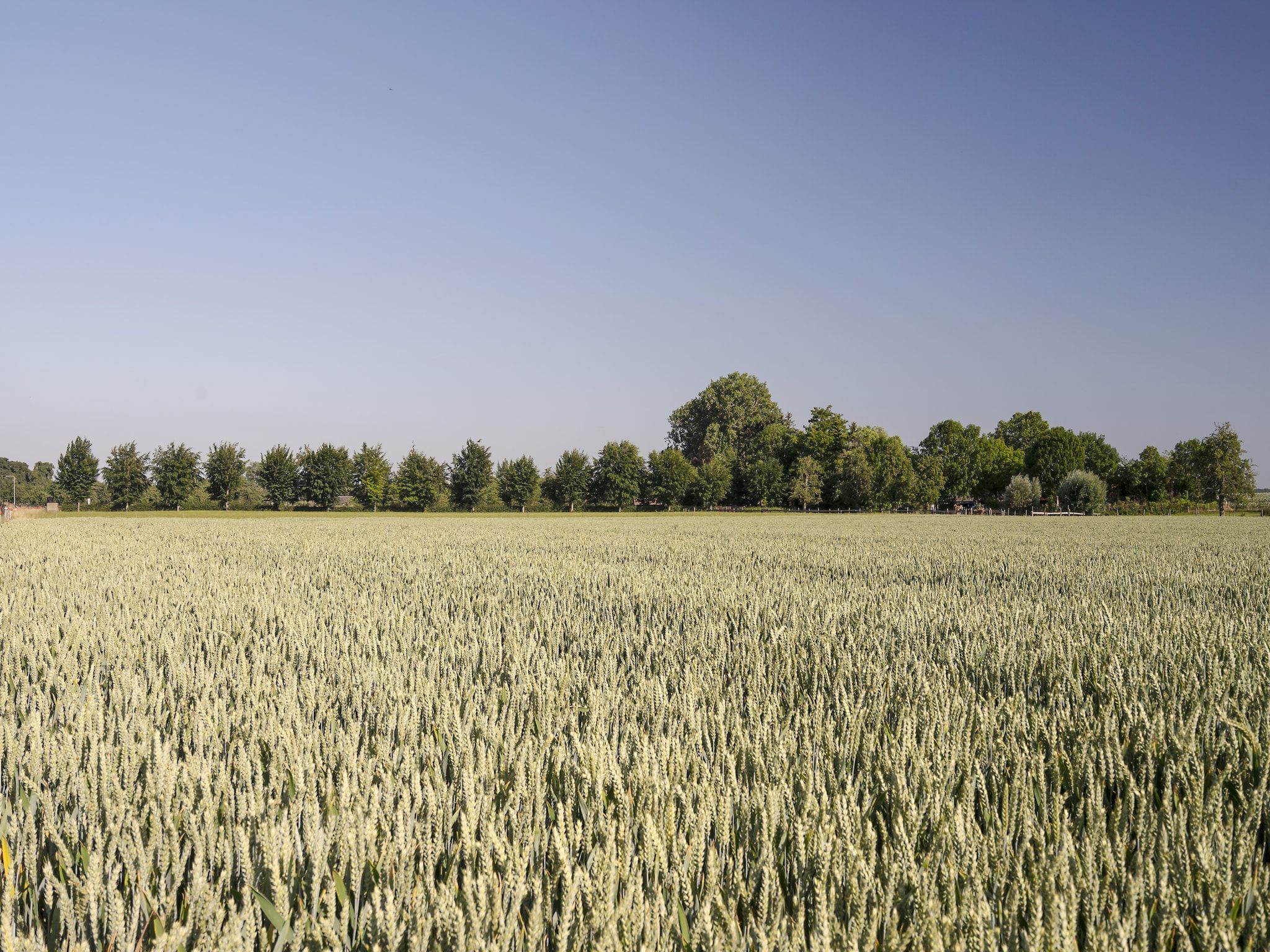 Meschermolen 1 in Mesch-Eijsden - Foto 26 van 37