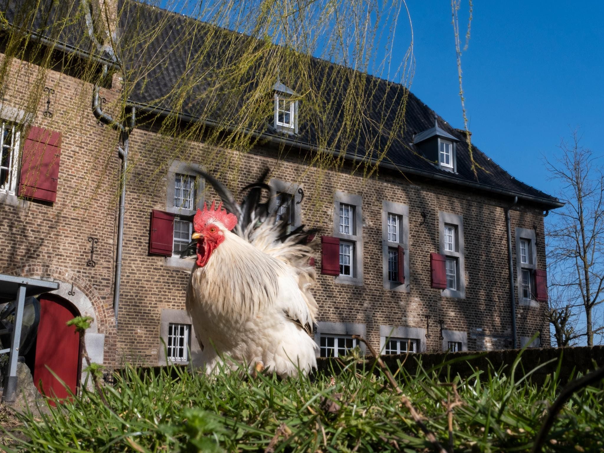 Voorzieningen bij Meschermolen 1 in Mesch-Eijsden