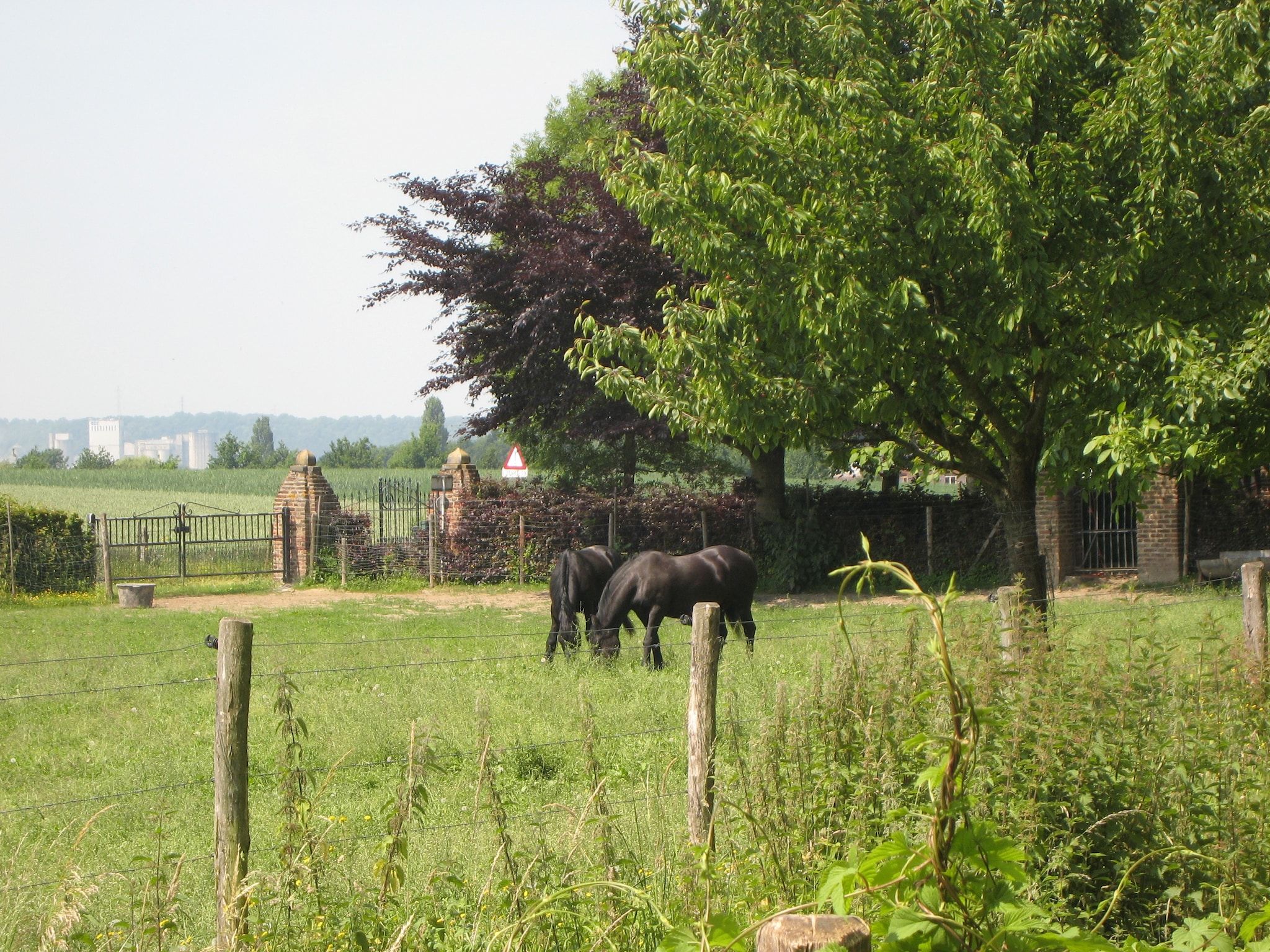 De tuin van Meschermolen 11 in Mesch-Eijsden