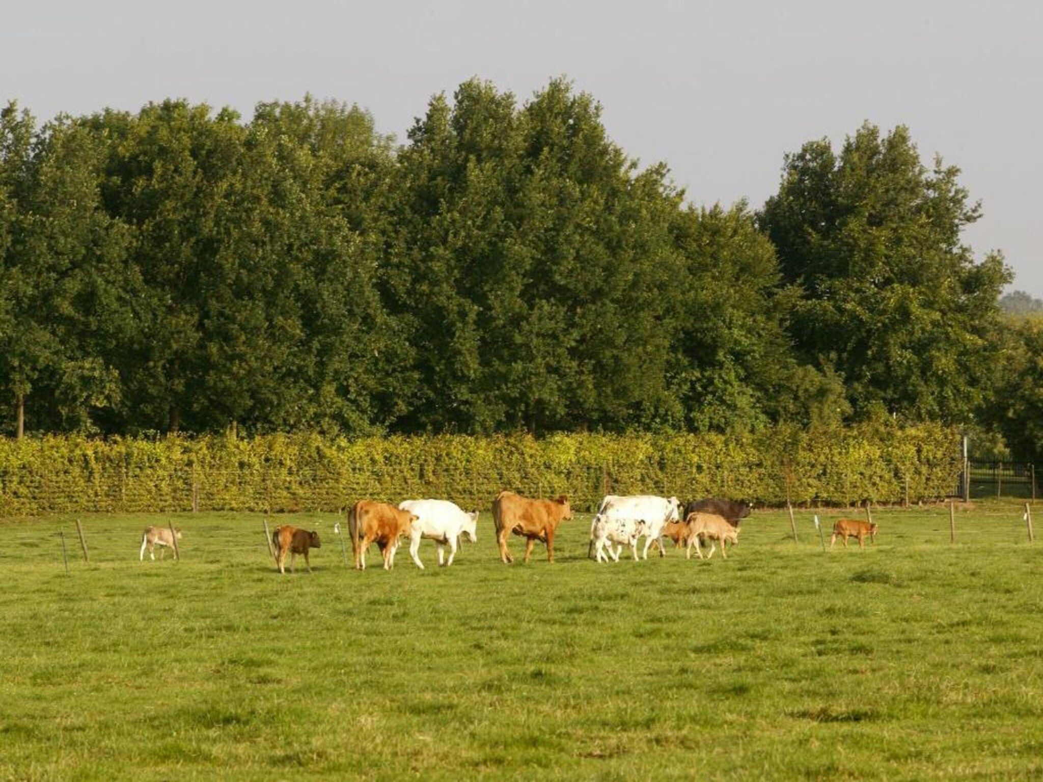 Resort Mooi Bemelen 9 in Bemelen - Foto 40 van 40