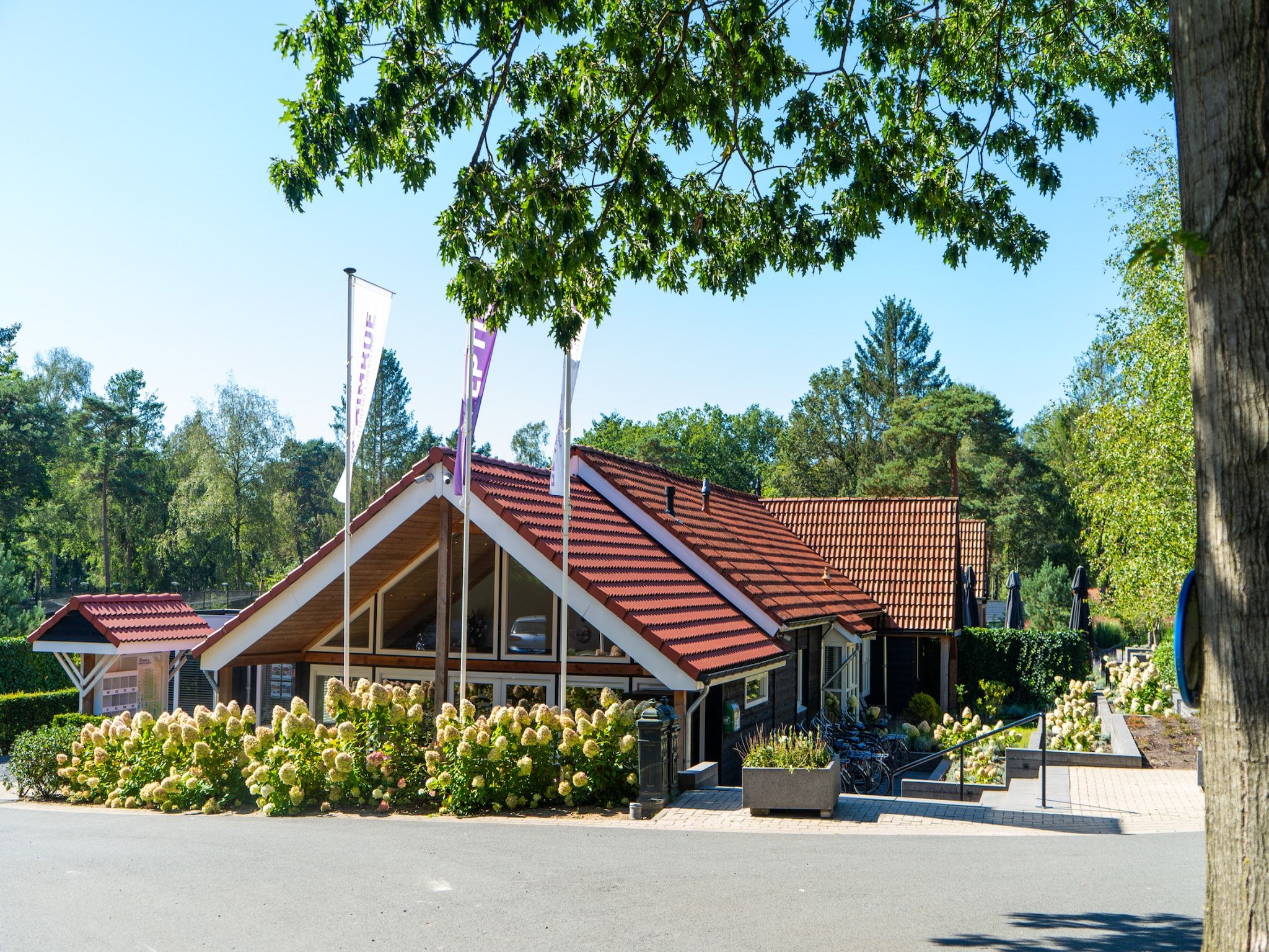 Parkfaciliteiten bij Vakantiepark De Rimboe & De Woeste Hoogte 2 in Hoenderloo