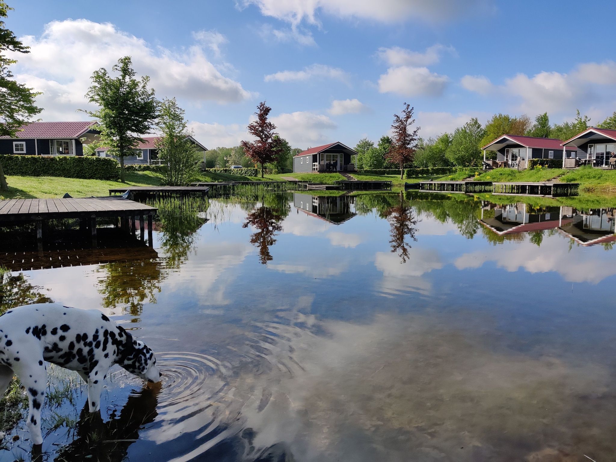 Vakantiepark Eigen Wijze 6 in Bant - Foto 26 van 36