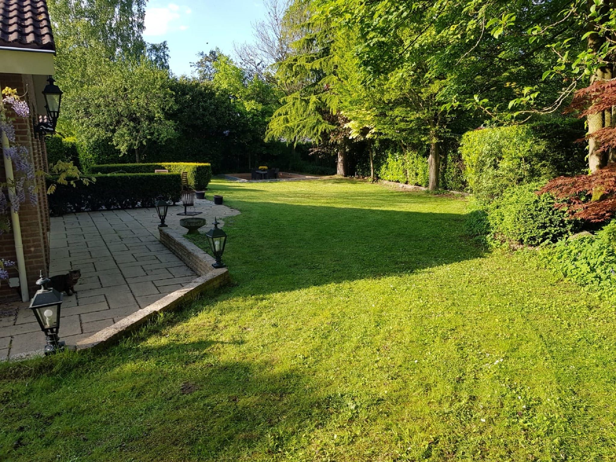 De tuin van Veluwse Specht in Garderen