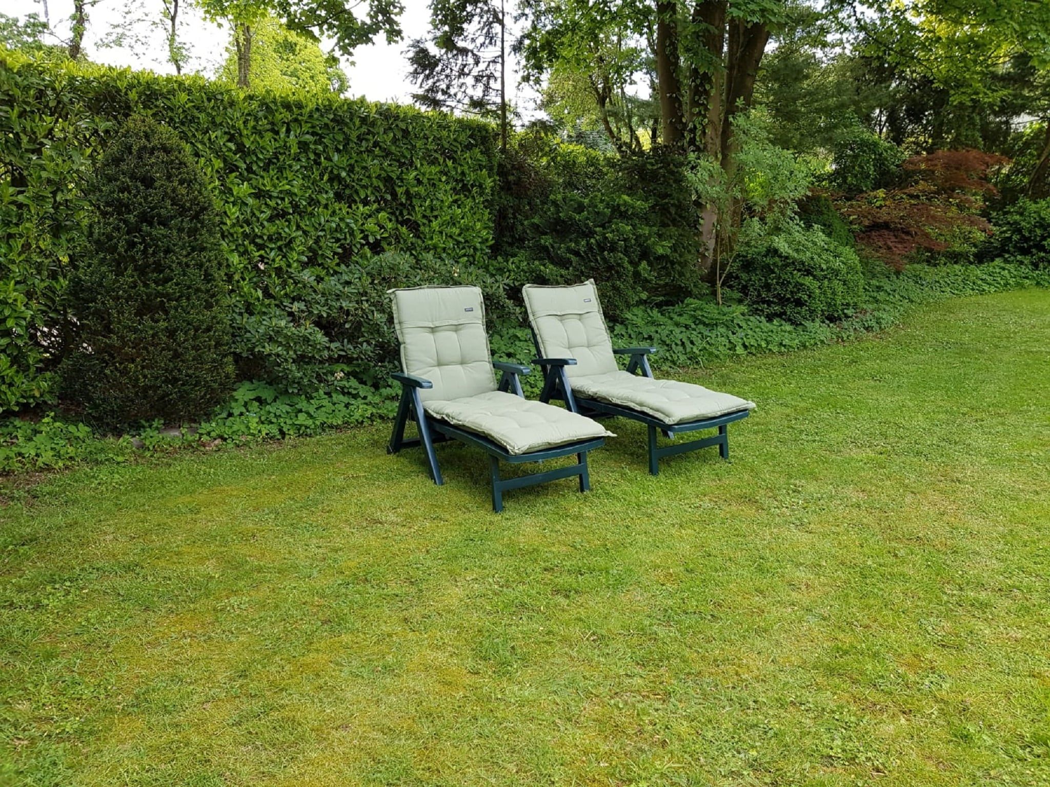 De tuin van Veluwse Specht in Garderen