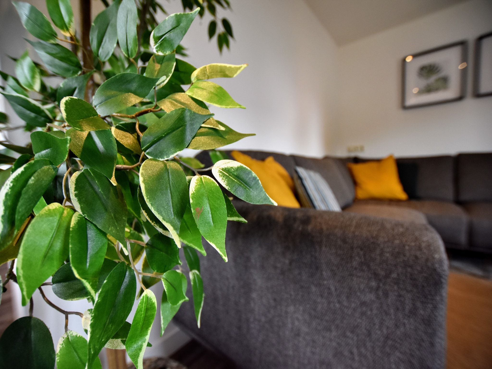 Sfeerbeeld van Erve Tank in Eibergen