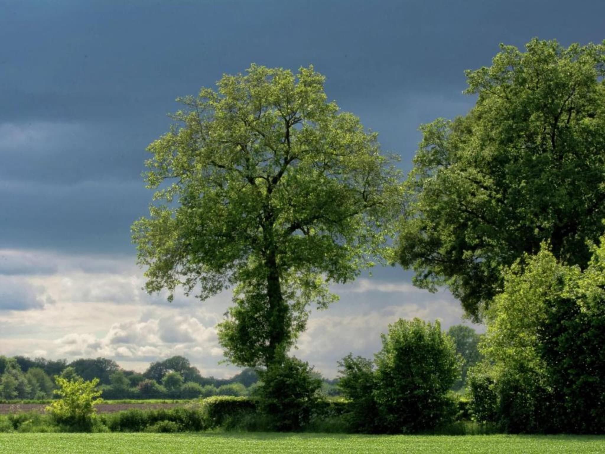 Erve Tank in Eibergen - Foto 27 van 40